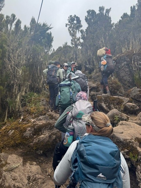 Kilimanjaro trek 2025 51.jpeg
