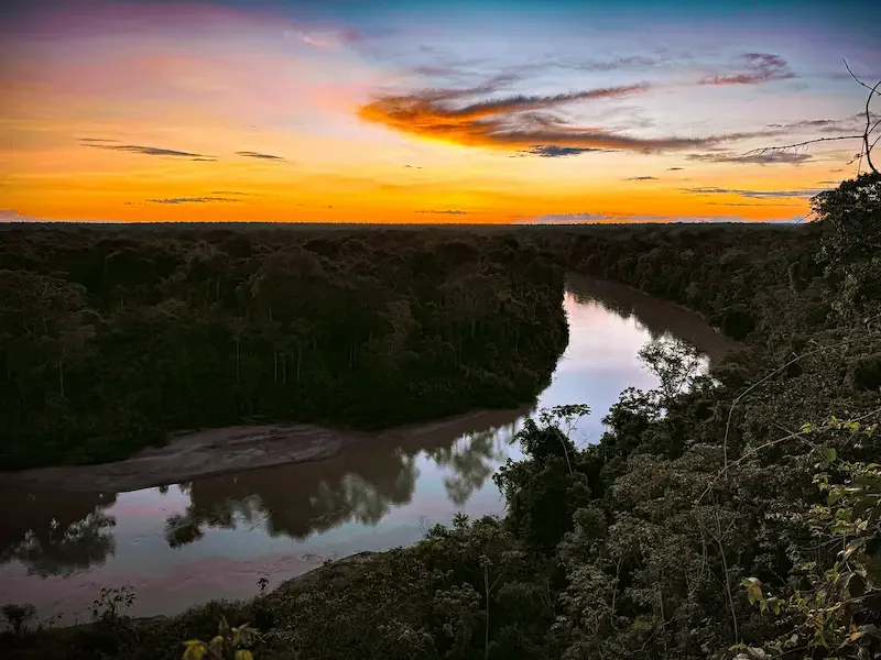 amazon river flowing through jungle at sunset