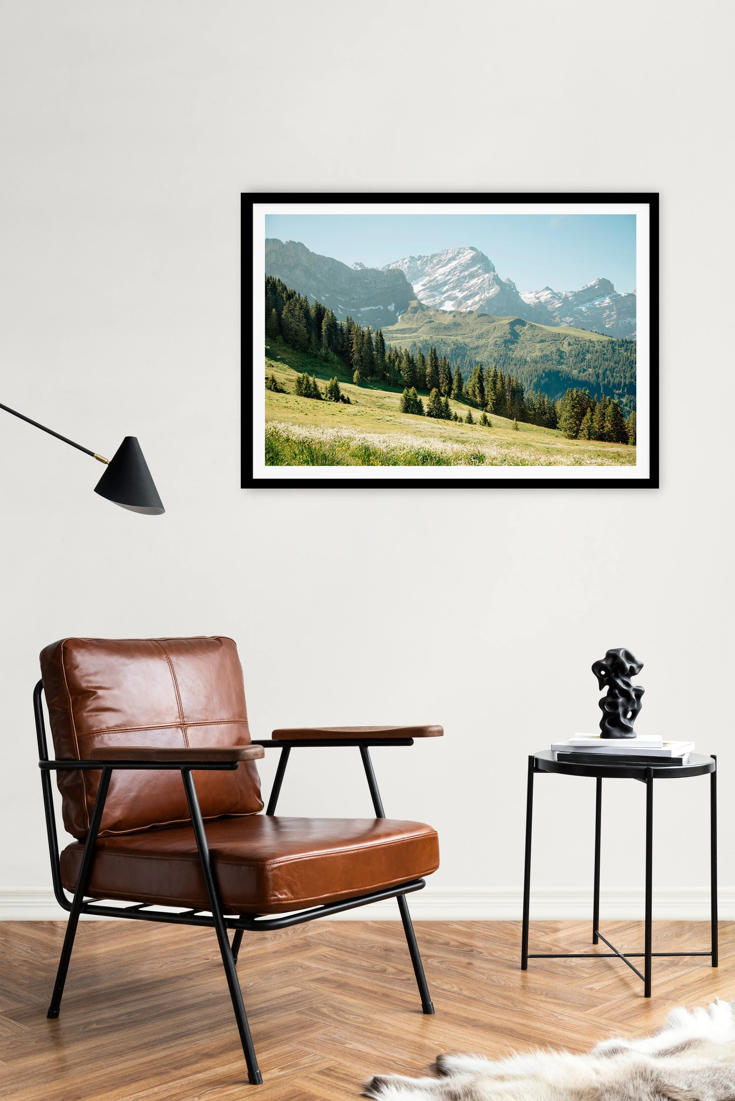 alpine meadows_A1_frame.jpg