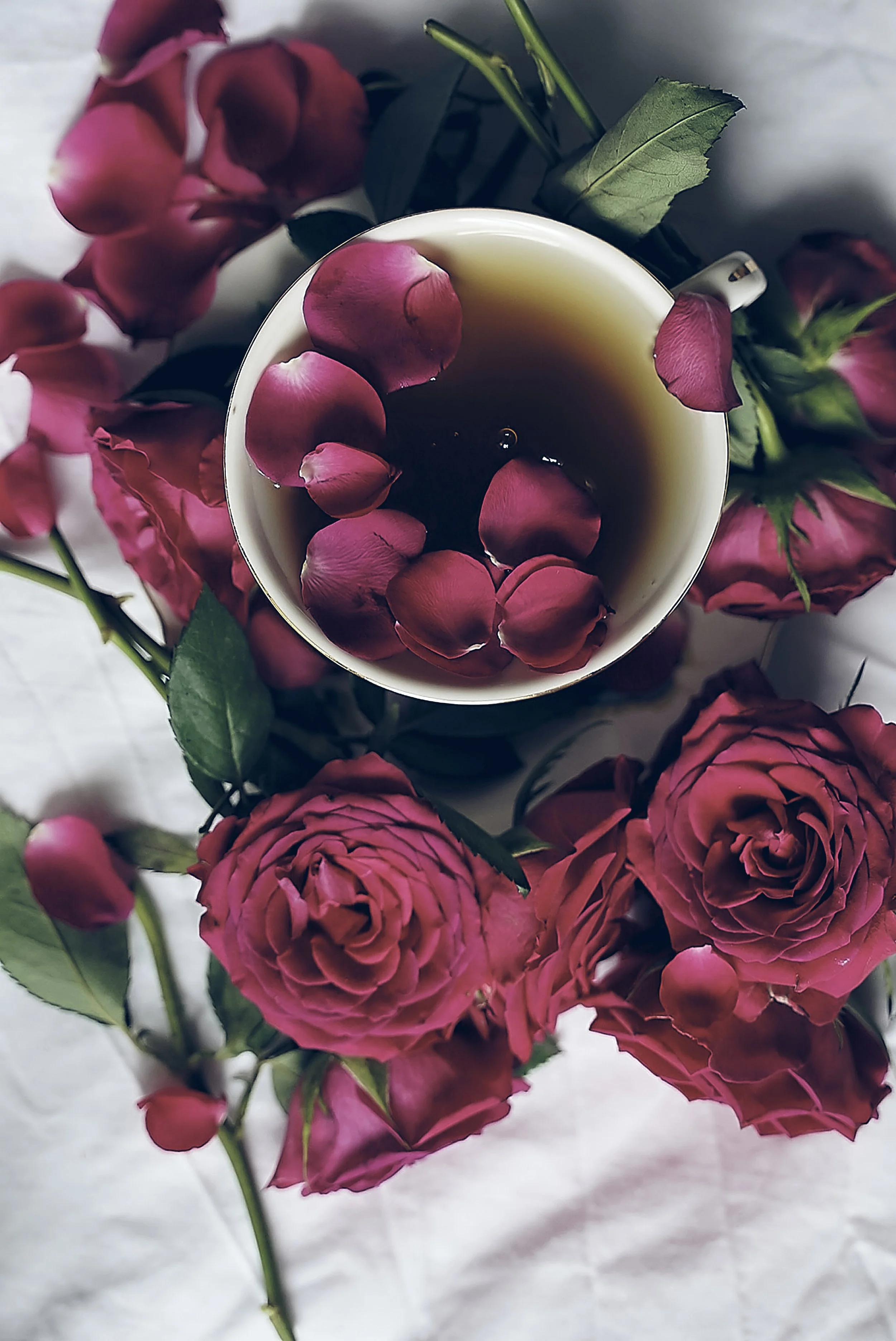 A top view of a cup of tea with rose petals inside, surrounded by pink roses and rosebuds on a white surface.