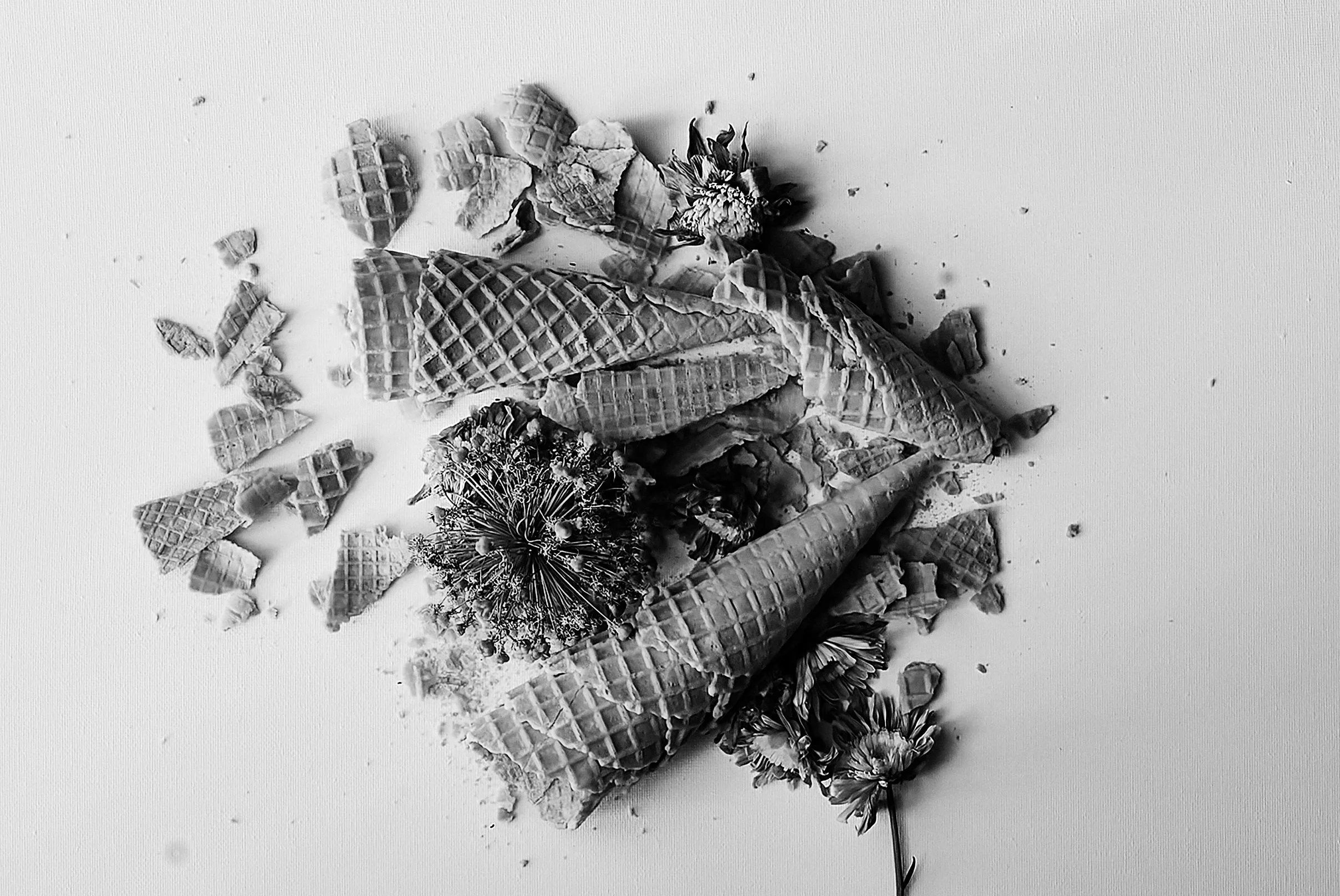 Black and white photo of broken ice cream cones, waffle pieces, and flowers scattered on a plain surface.