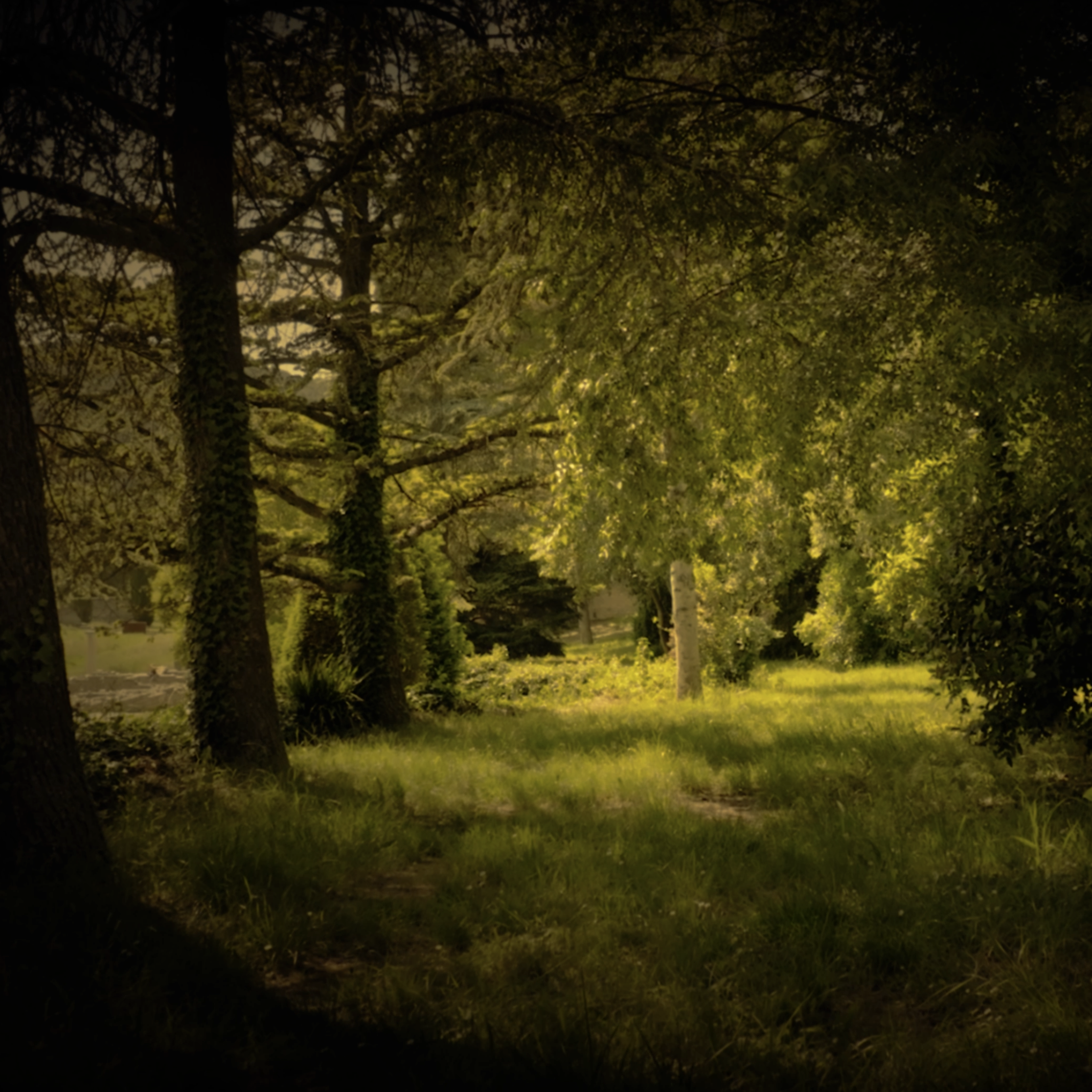 Screenshot 2025-01-26 at 22.58.13.png