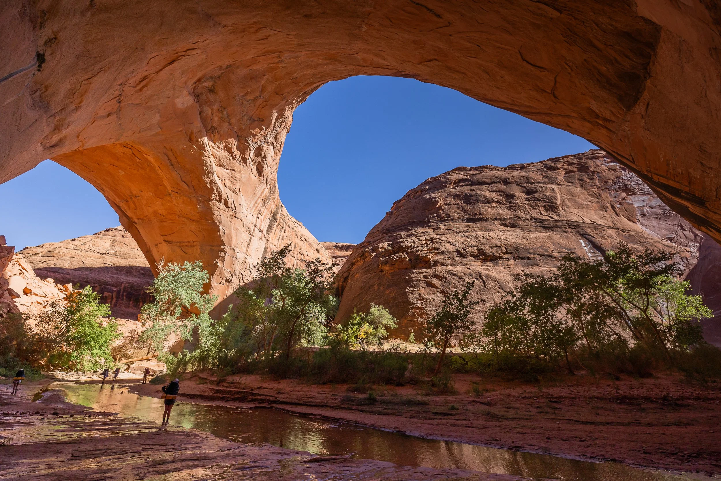 24_Ex_Courage_1_0426.jpg (Copy)