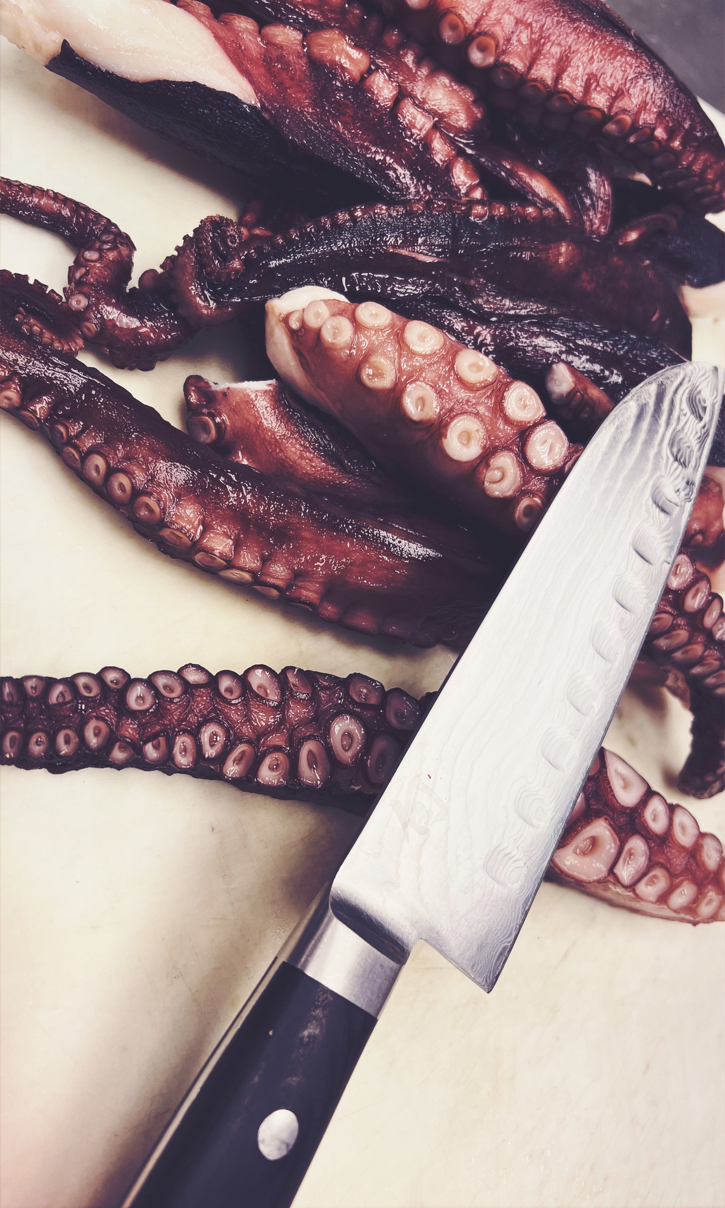 Slow Braised Octopus