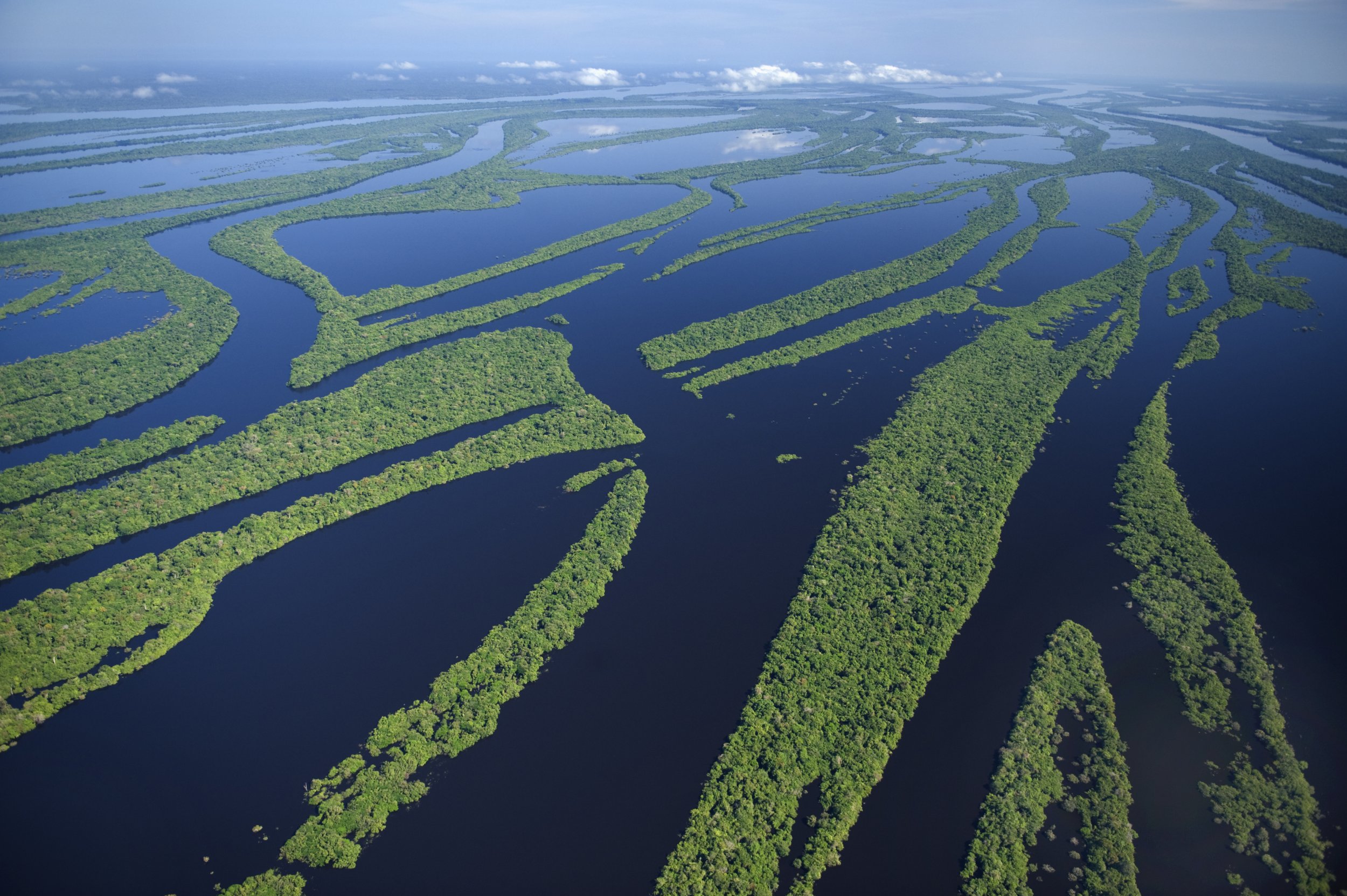 Самая полноводная река бразилии. Амазония река Амазонка. Река Амазонка в Бразилии. Река Рио Негро. Южная Америка река Рио Негро.
