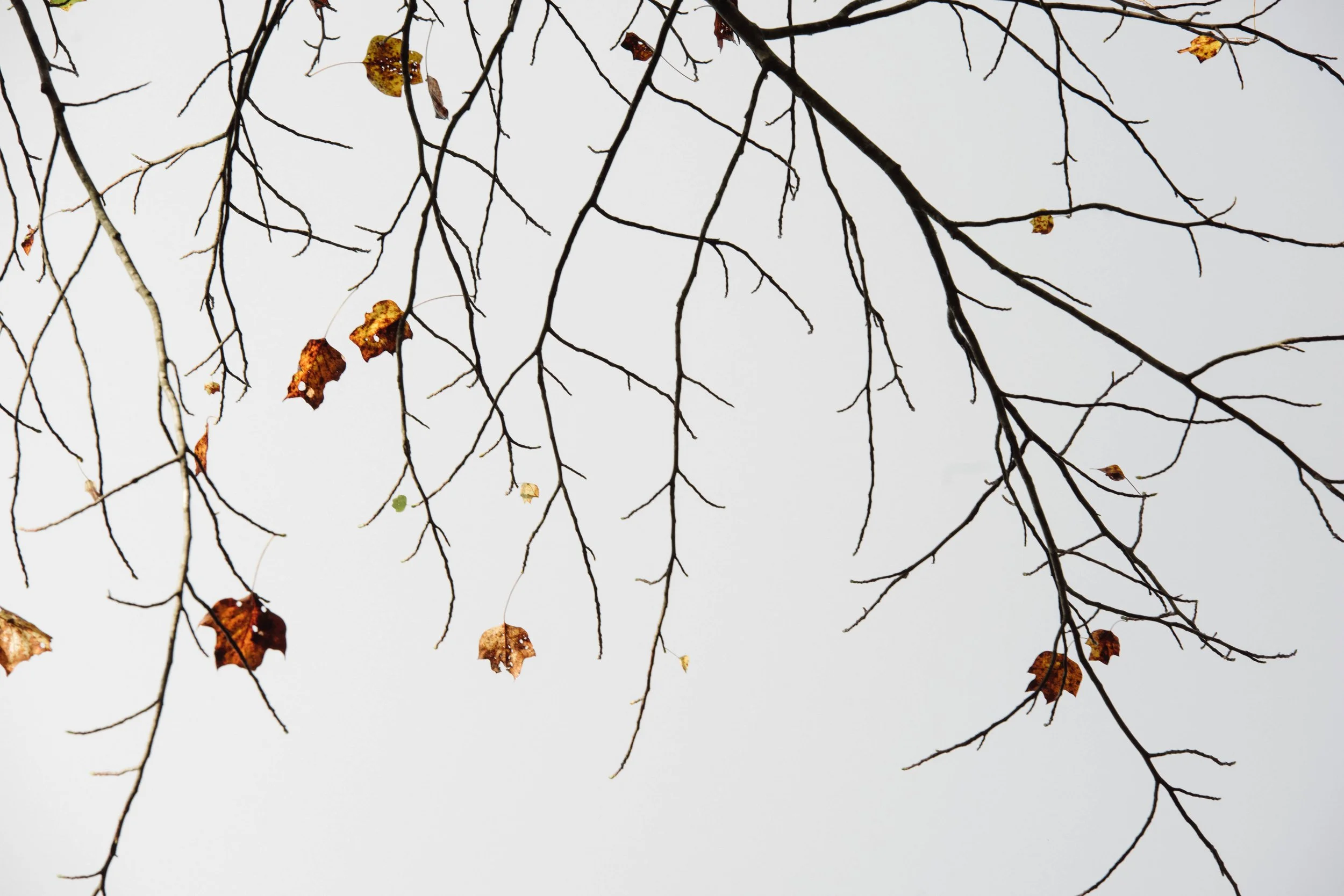 HIGH_HAMPTON_OCT_13_2020_FALL-9797.jpg