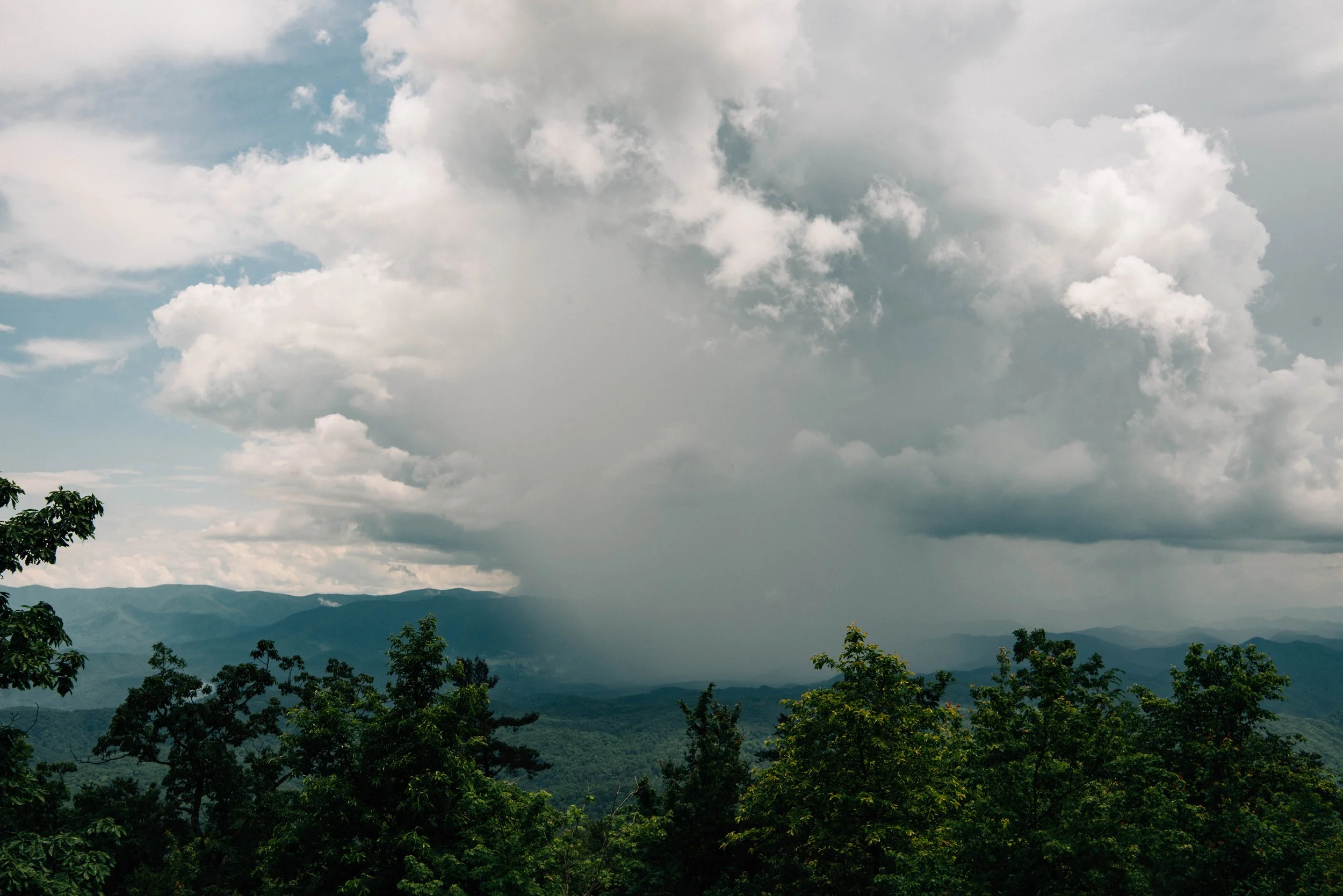 BMTN_21_06_08_RAU_JUNE-1166.jpg