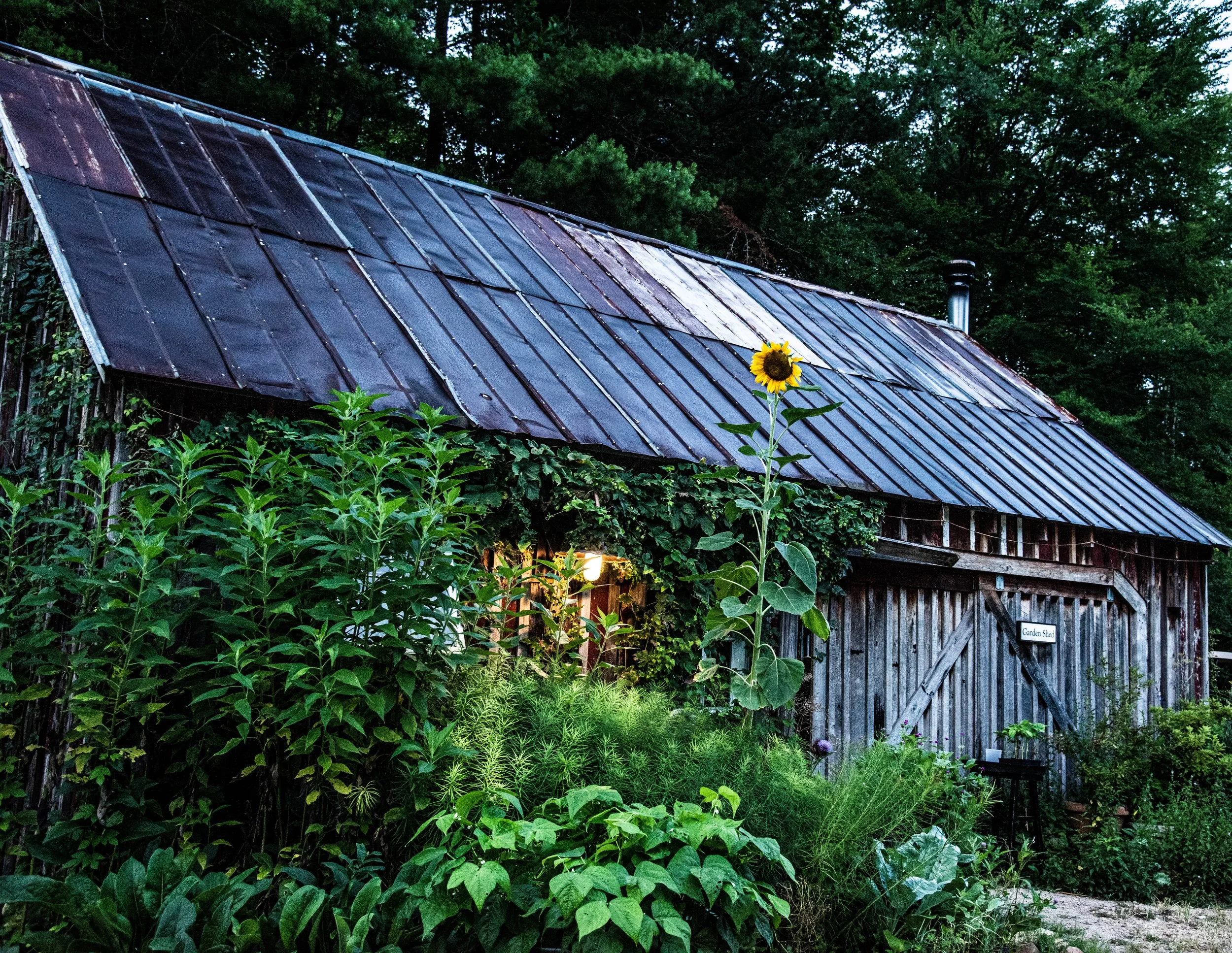 BLACKBERRY_FARM_JULY_22_2020_SUNRISE-8644.jpg