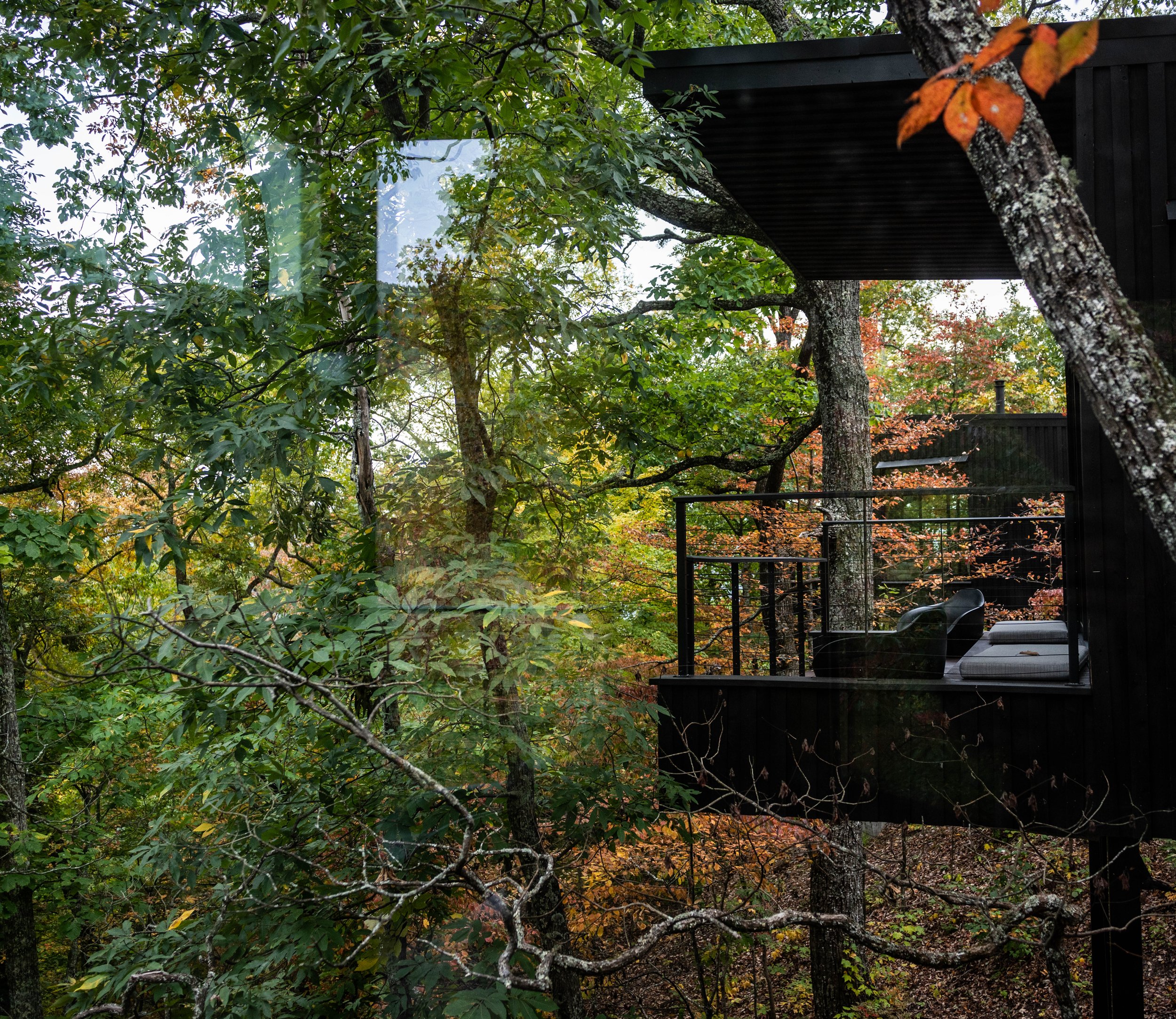 BMTN_22_10_12_RAU_FALL-3511.jpg