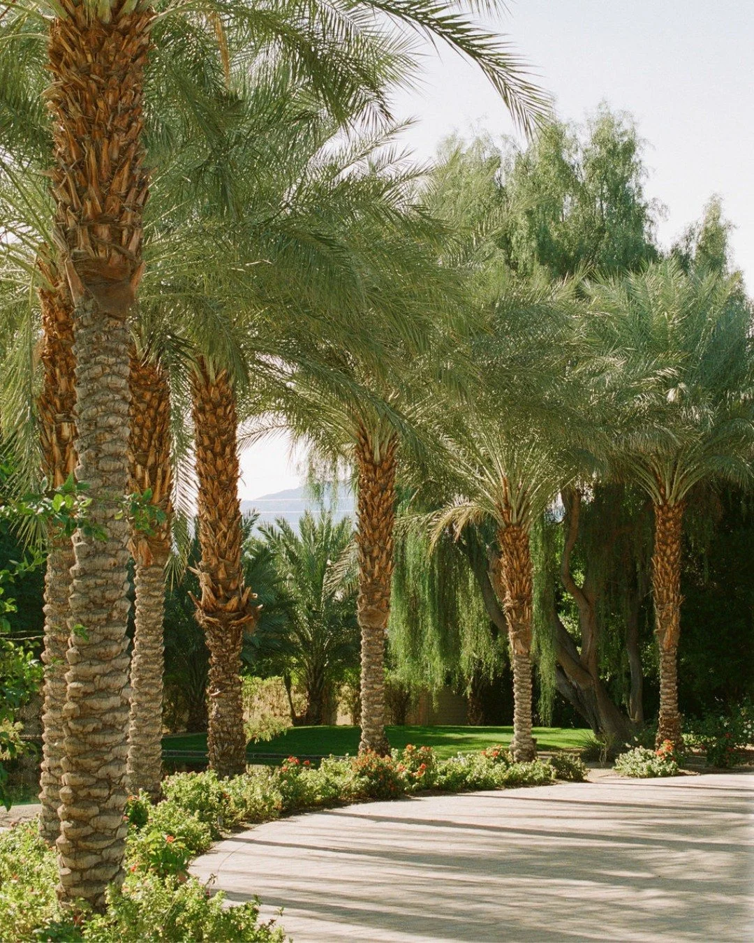 Calm, quiet, and about to change completely ✨⁣
⁣
Photo: @erinwiesephoto ⁣
Planner: @concept.create.celebrate ⁣
Second Photographer: @paigenelsonphoto
