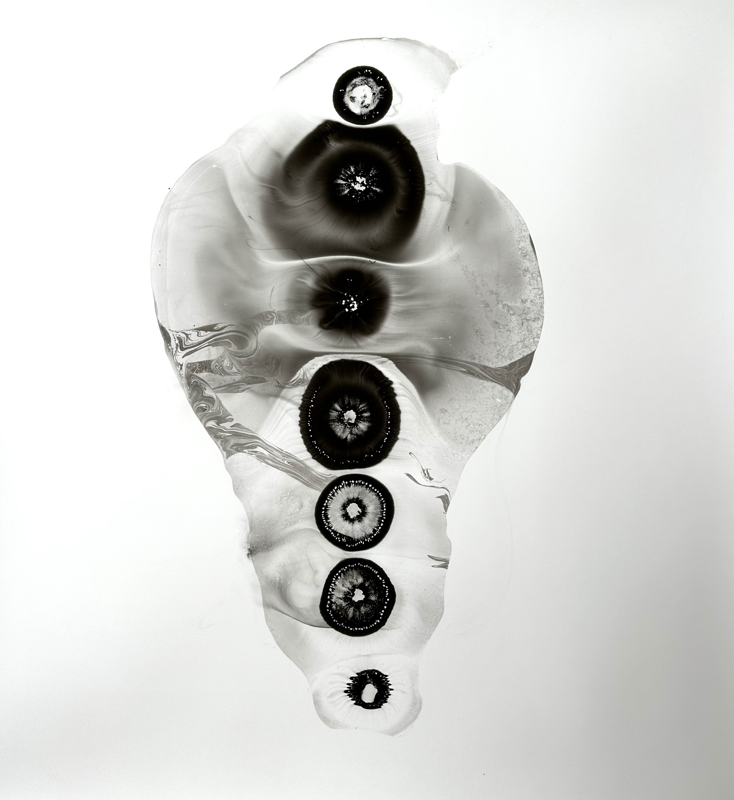 Encuentro No.14
40.0722 N, 105.5083 W
Fresh Spring Water and Acrylic Ink on Yupo 200gsm.
76x76cm.
2023