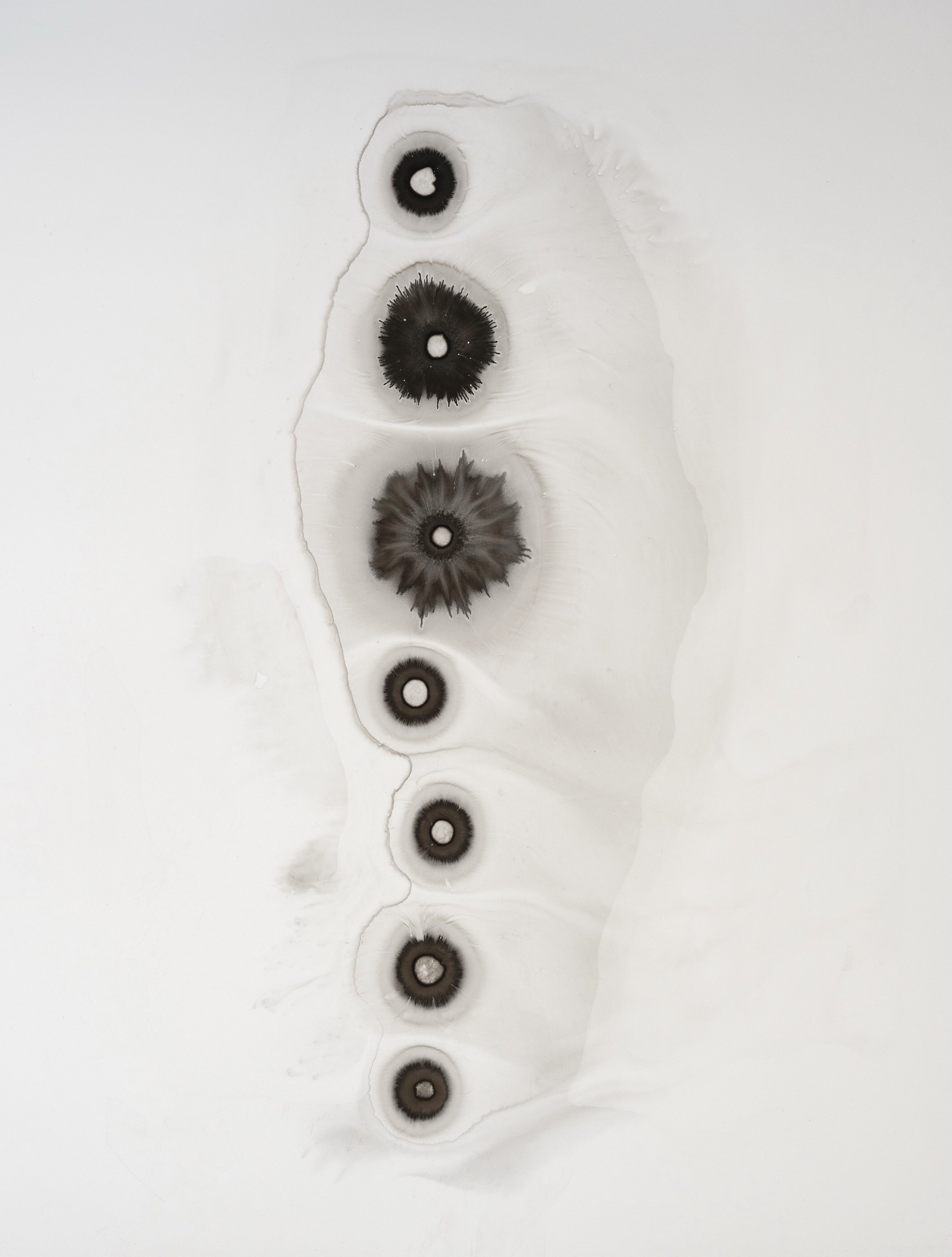 Many Voices From A Single Throat. Creek Water and Acrylic Ink on Polypropylene. 26 x 30 in. 2022