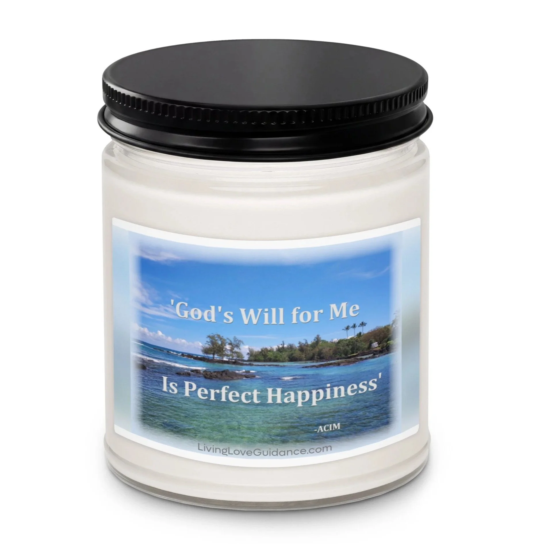 scented-soy-candle%2C-9oz-sea-salt-and-orchid-front-6a246f325c12b.jpg