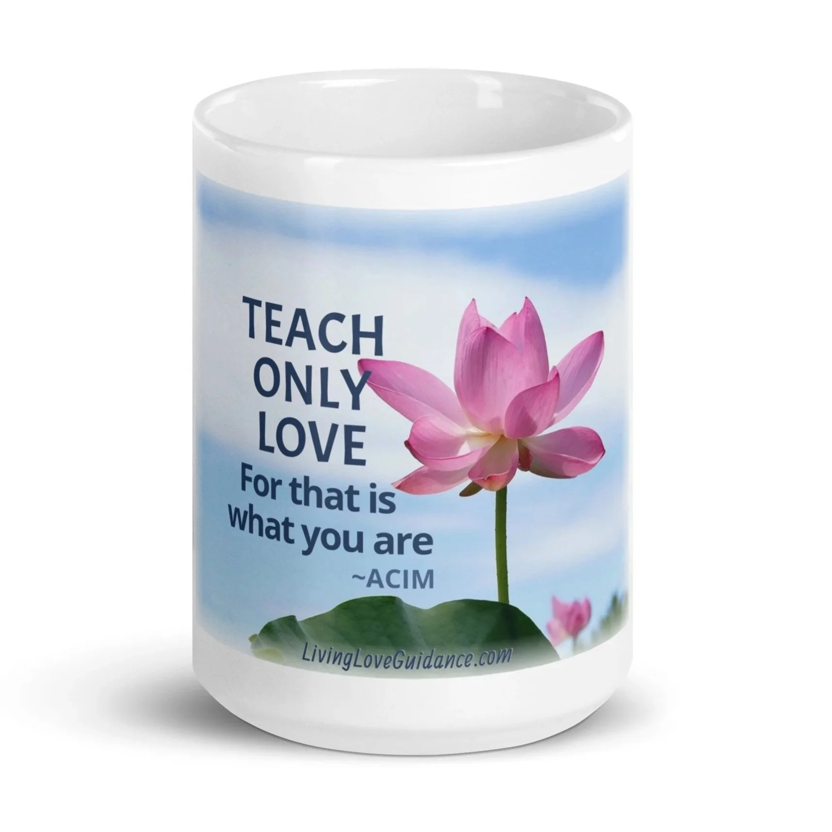 TEACH LOVE mug
