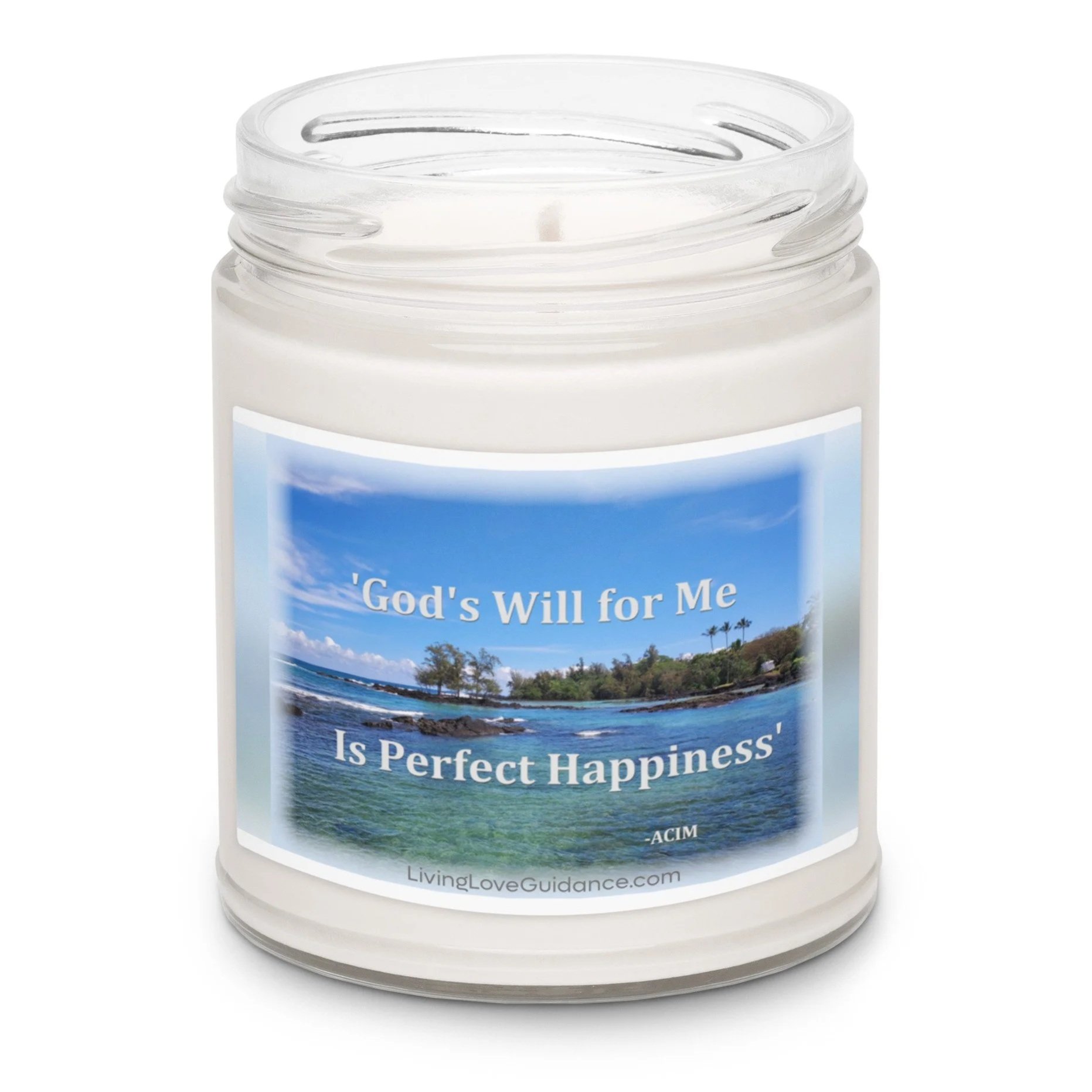 scented-soy-candle%2C-9oz-sea-salt-and-orchid-front-2-6a246f325b5d8.jpg