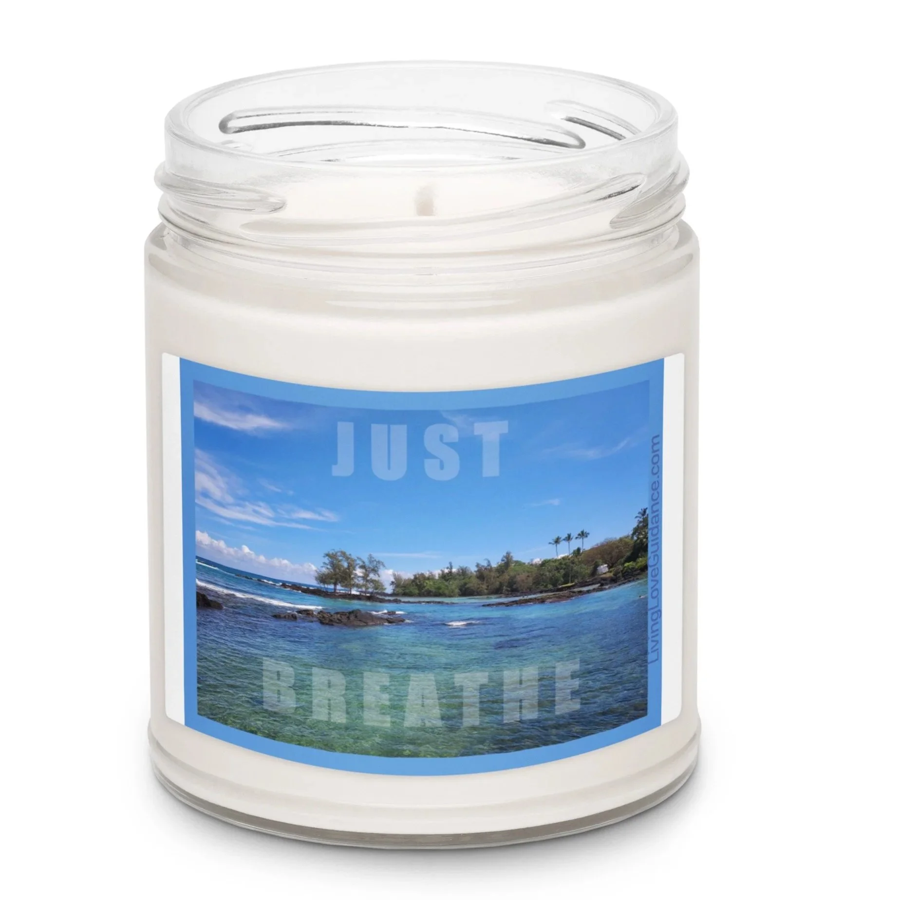 scented-soy-candle%2C-9oz-sea-salt-and-orchid-front-2-6a2475c921729.jpg