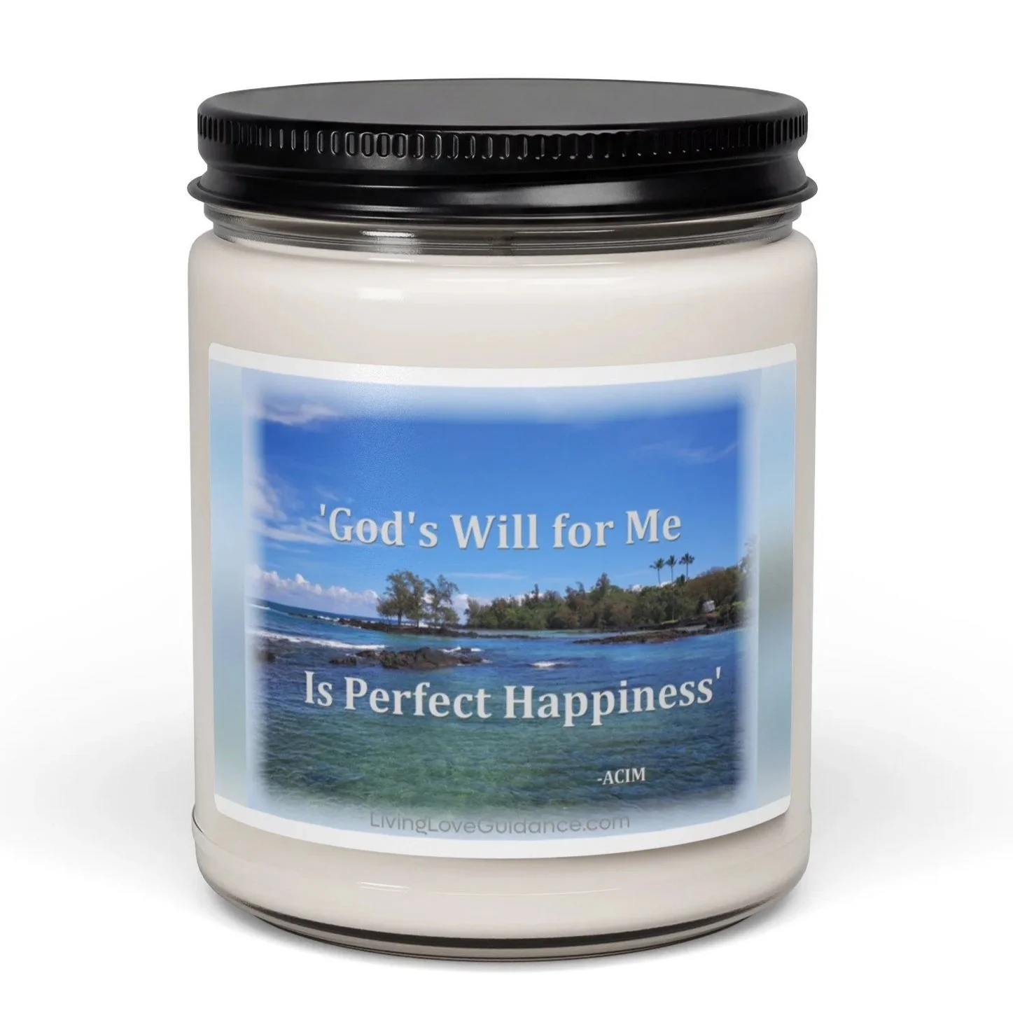 scented-soy-candle%2C-9oz-sea-salt-and-orchid-front-6a0d18b57f296.jpg