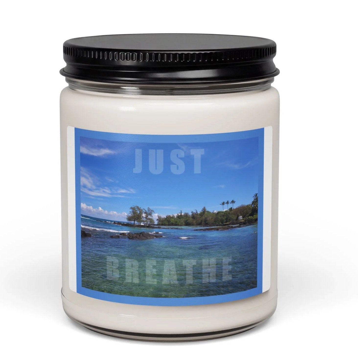 scented-soy-candle%2C-9oz-sea-salt-and-orchid-front-6a0537e40c055.jpg