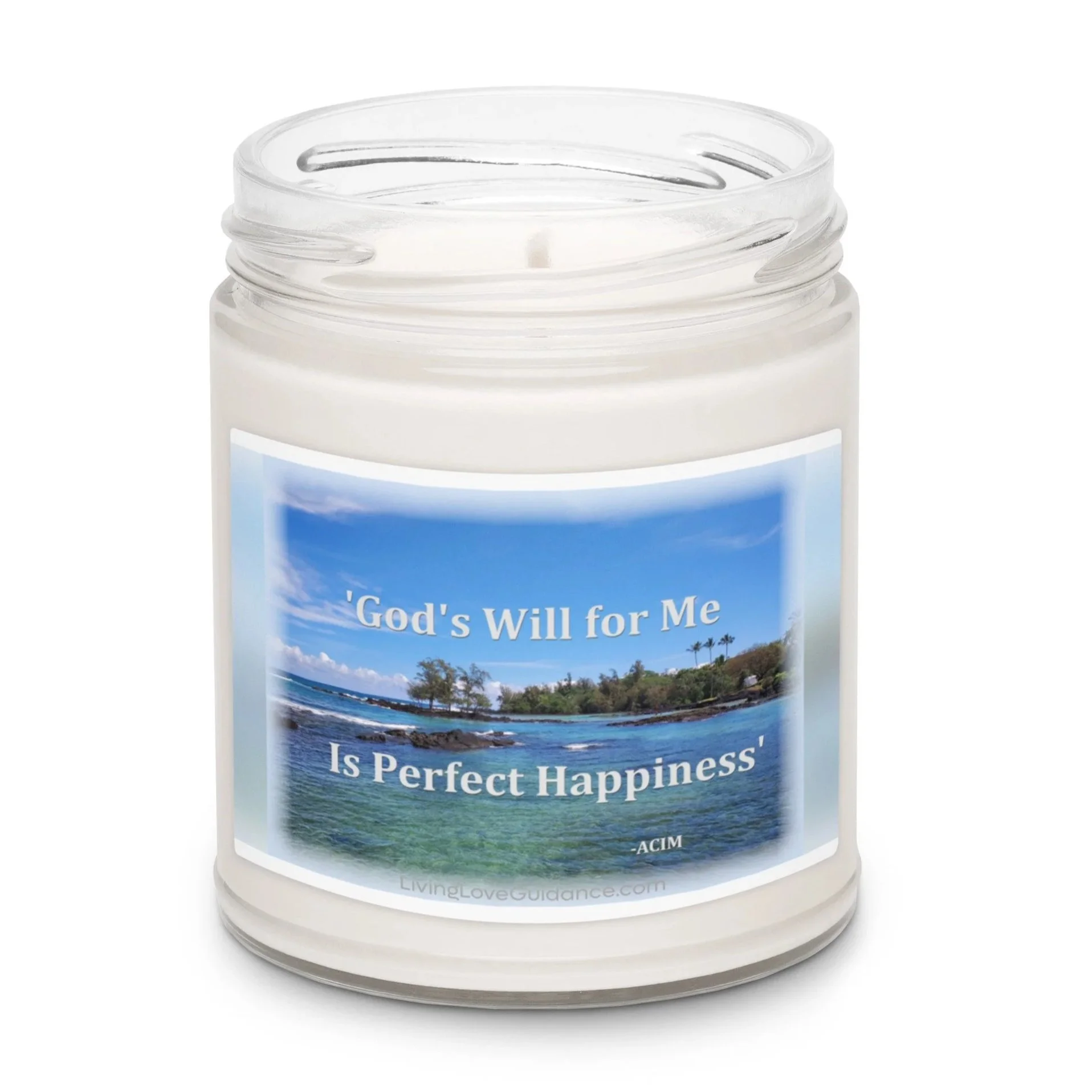 scented-soy-candle%2C-9oz-sea-salt-and-orchid-front-2-6a0d18b57f34d.jpg