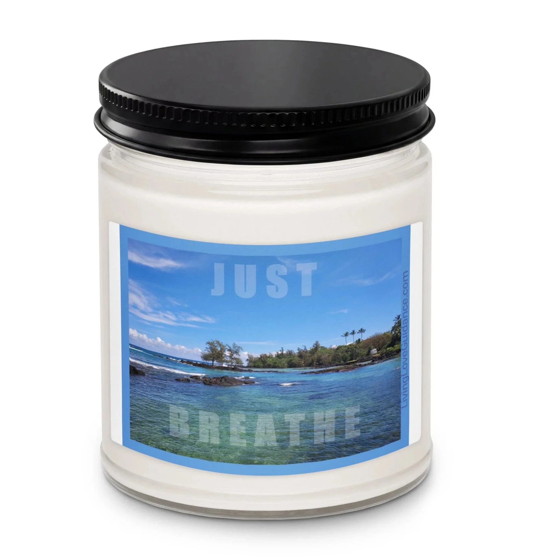 scented-soy-candle%2C-9oz-sea-salt-and-orchid-front-6a2475c9222ac.jpg
