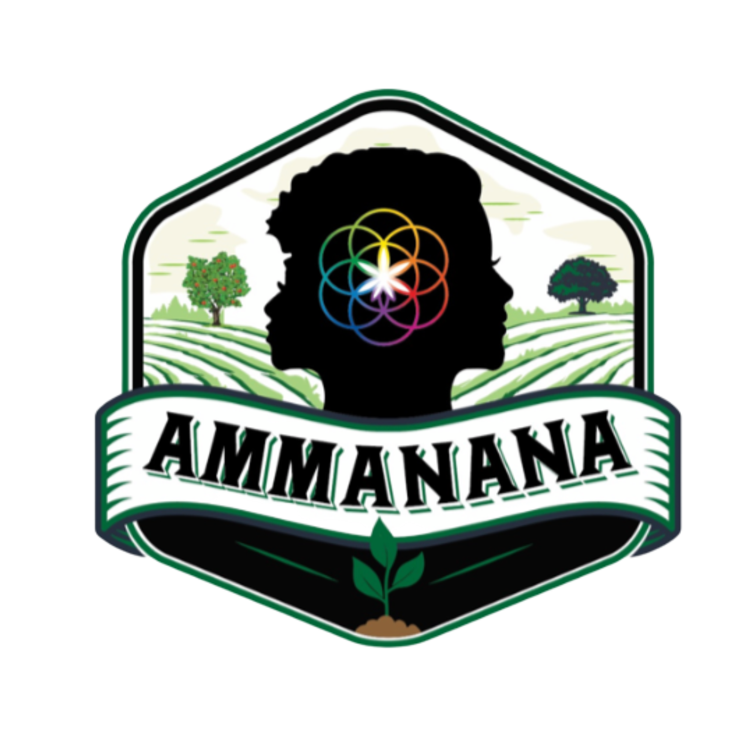 Ammanana