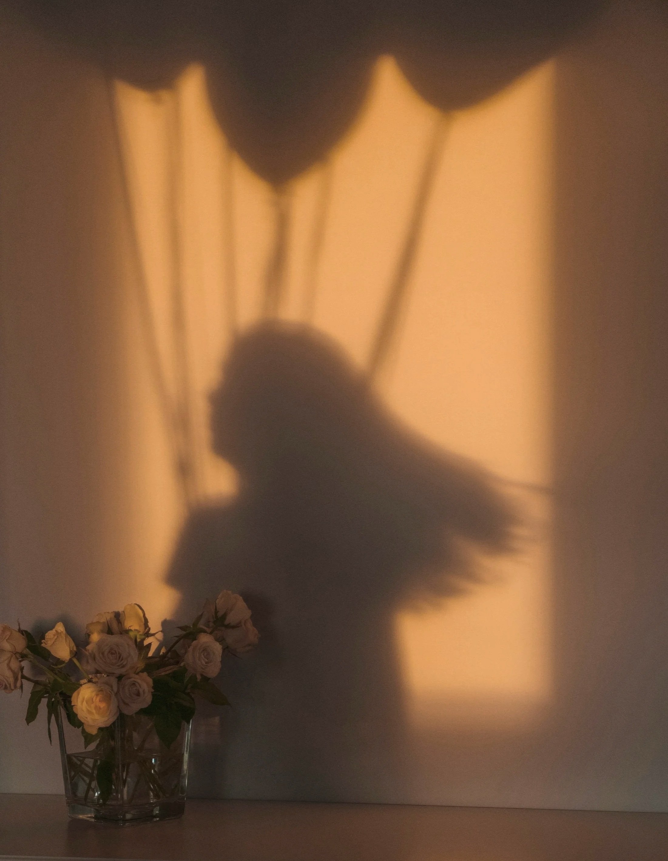 Schattensilhouette mit Ballons und Rosen im warmen Licht – Hypnosetherapie für HSP in Hamburg-Eimsbüttel