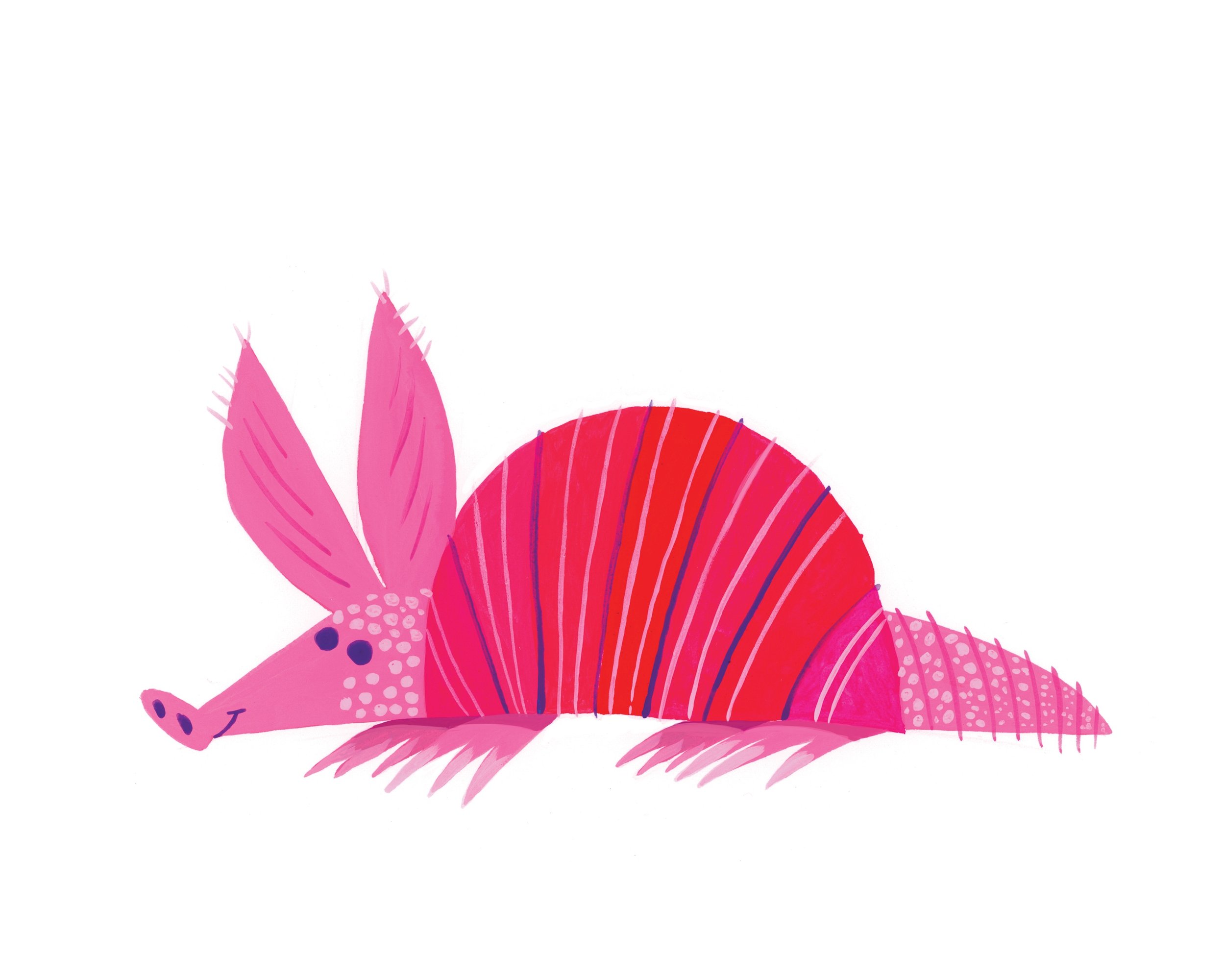 armadillo_8x10.jpg