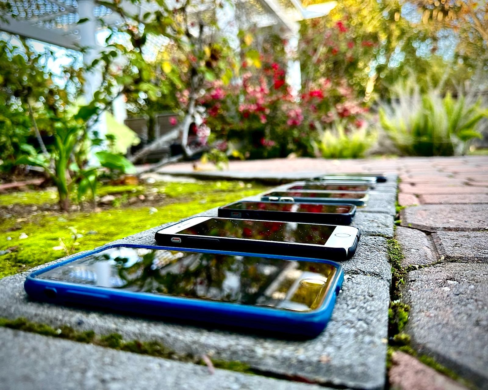 Phone Collection.jpeg