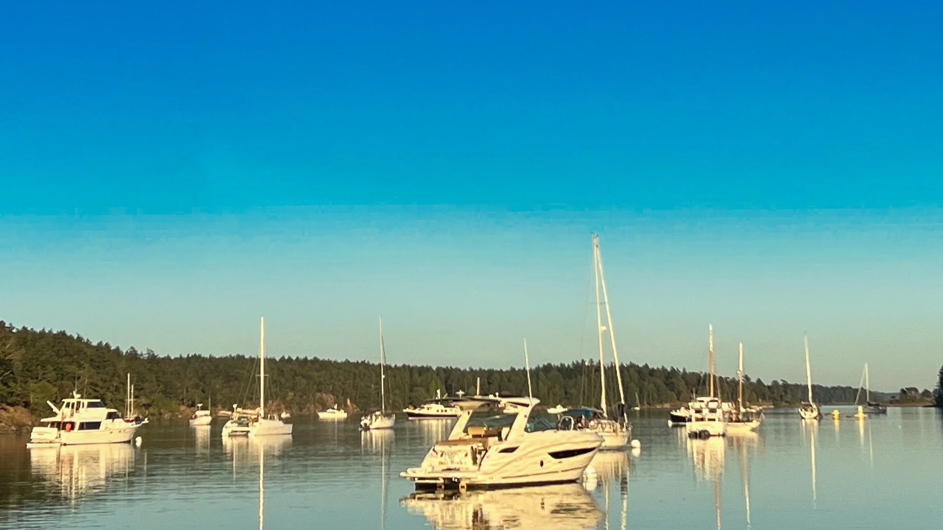 A motorboat cruising through open coastal water