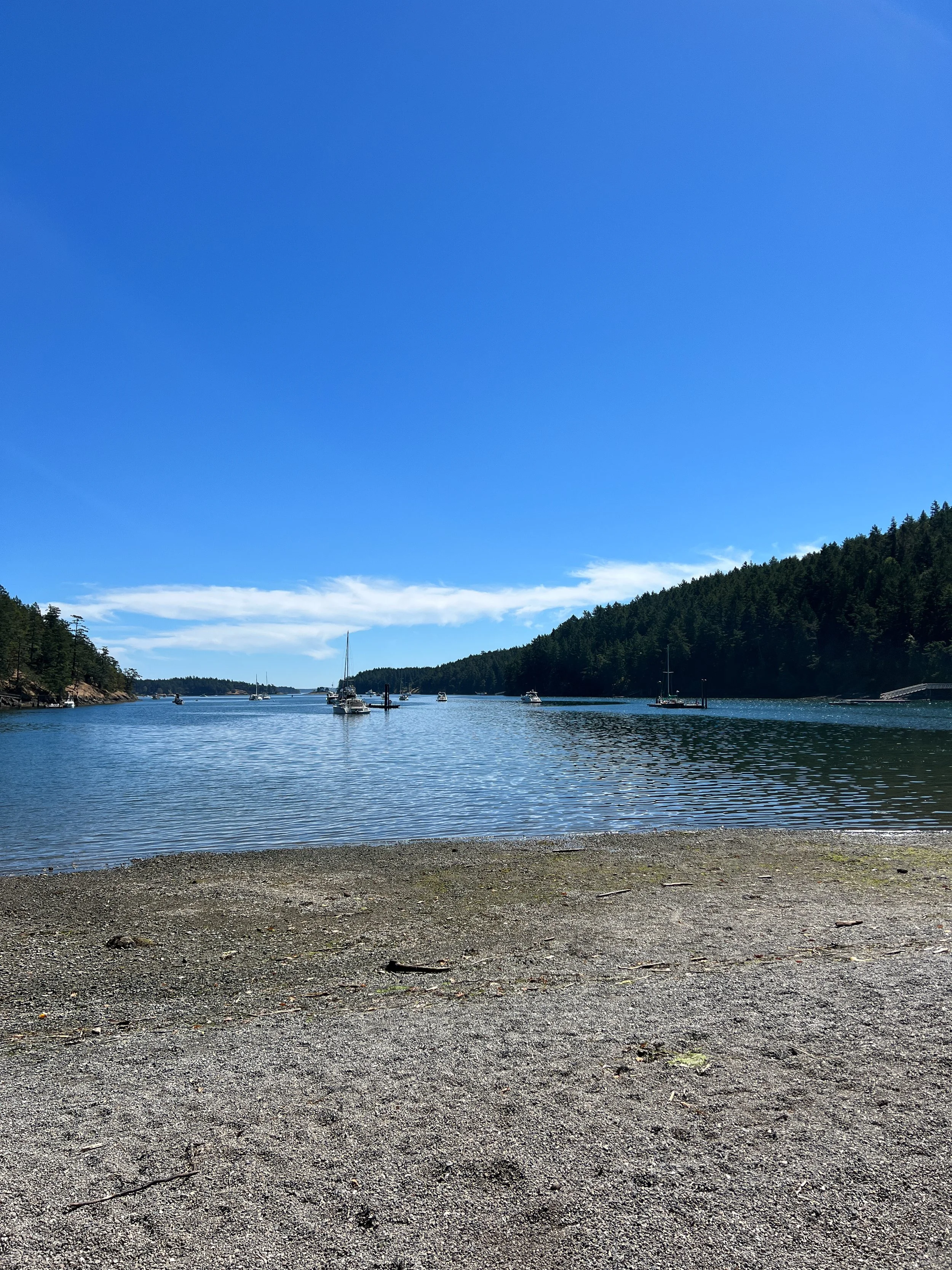 Reid Harbor beach.jpg