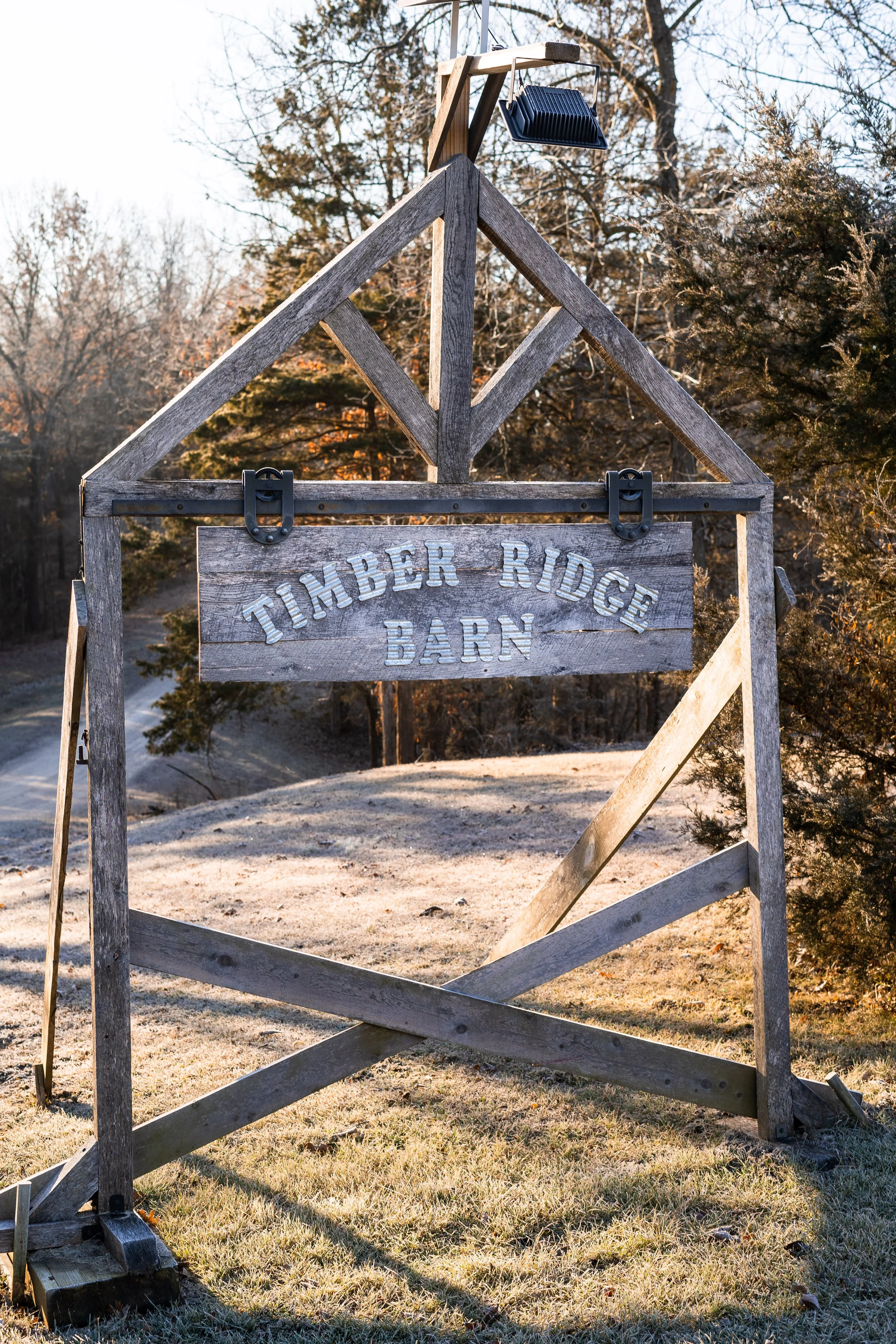 courtney_austin small-4.jpg