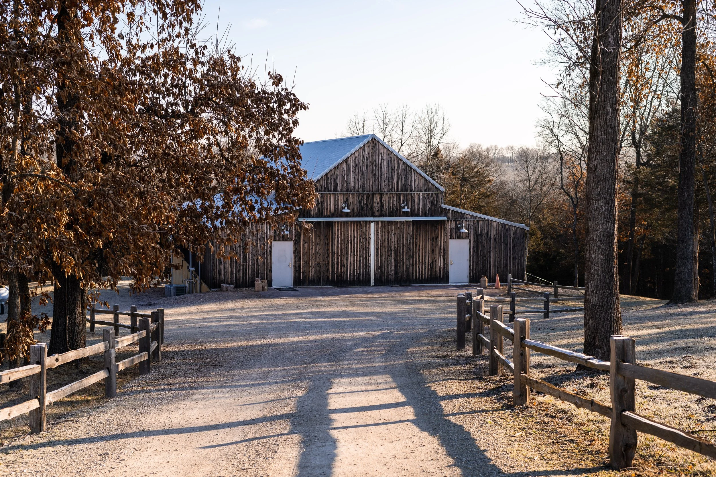 courtney_austin small-5.jpg