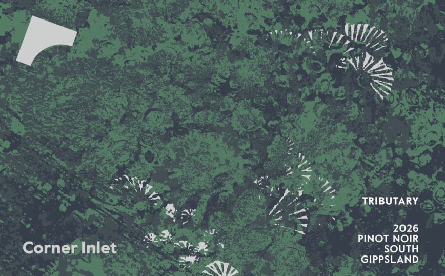 2025 Tributary Pinot Noir Six Pack