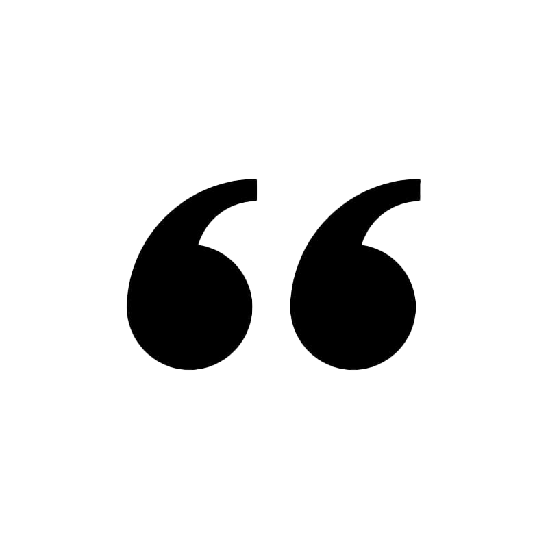 Quote marks with the words "What is in this image? Respond in American English." inside