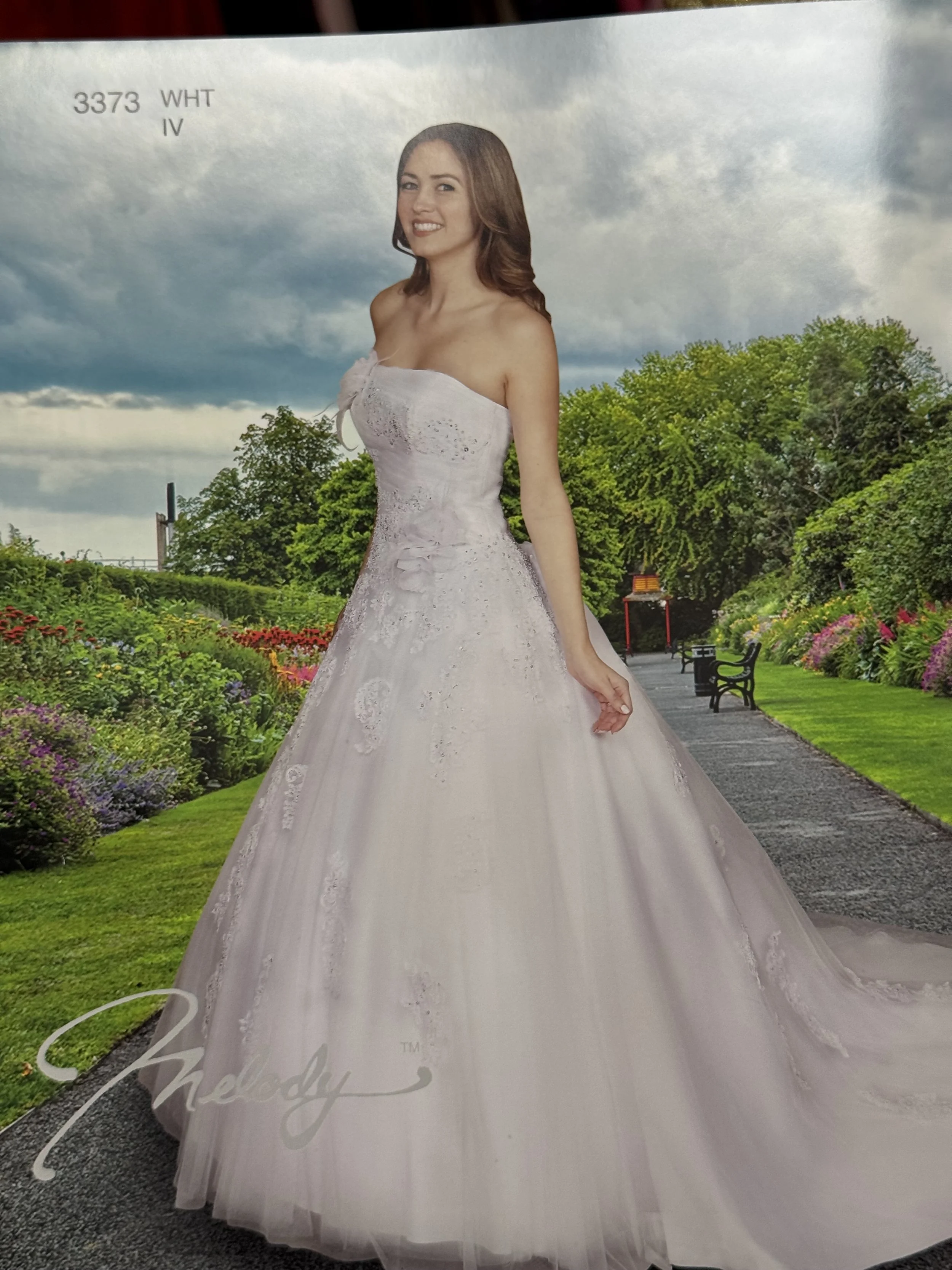 STYLE 3373