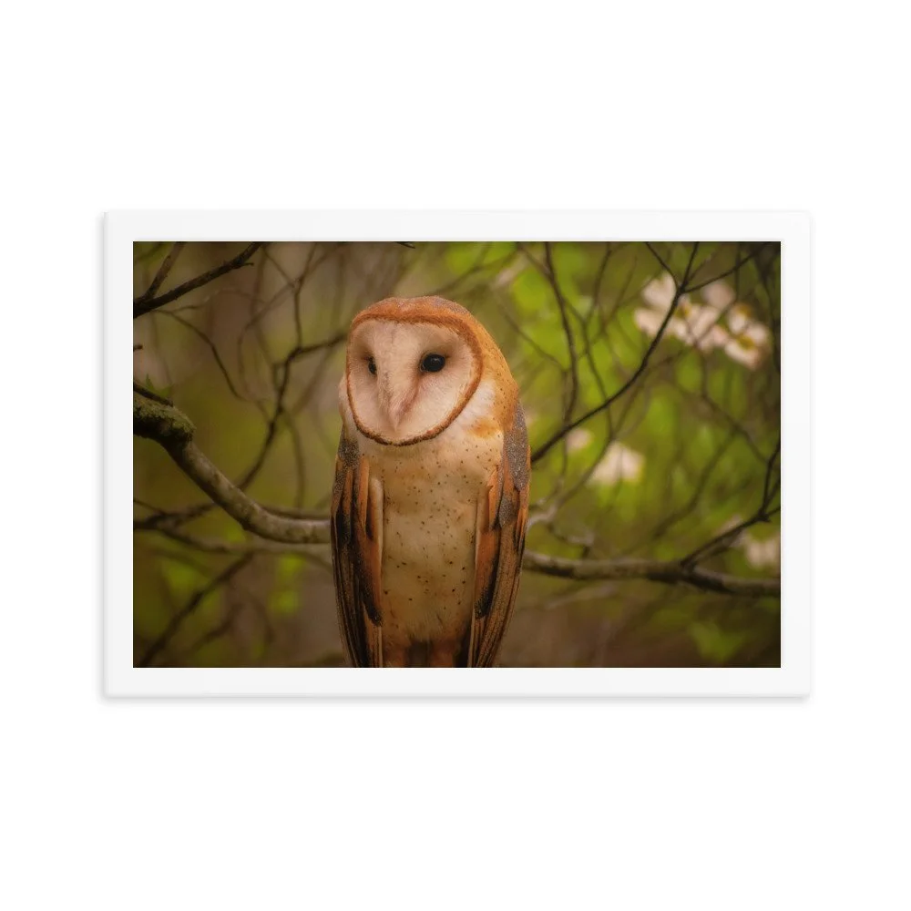 premium-luster-photo-paper-framed-poster-(in)-white-12x18-transparent-63901af48680a.jpg