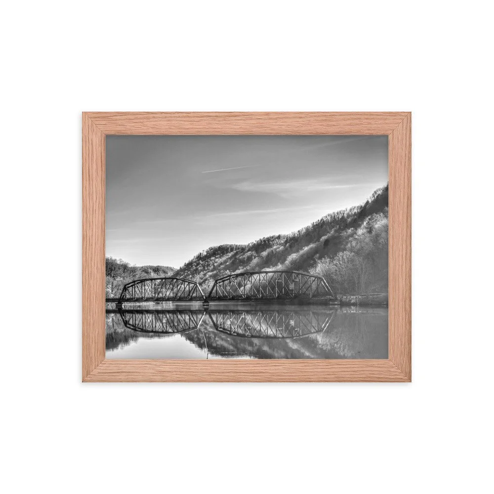 premium-luster-photo-paper-framed-poster-(in)-red-oak-8x10-transparent-63e5a8d6aae12.jpg