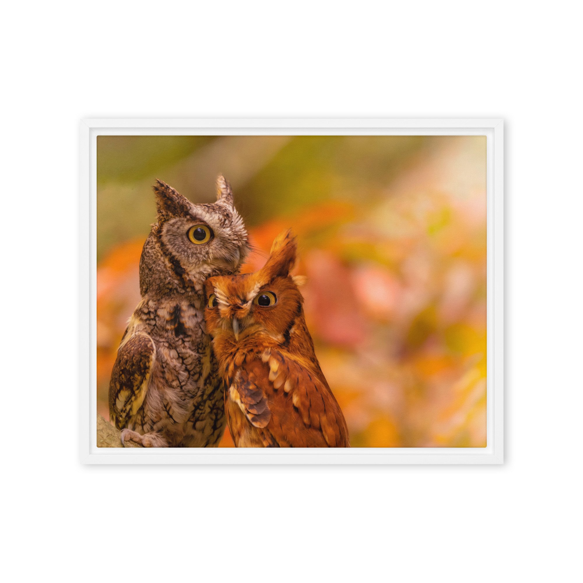 framed-canvas-(in)-white-16x20-front-6435f1b38cdfe.jpg