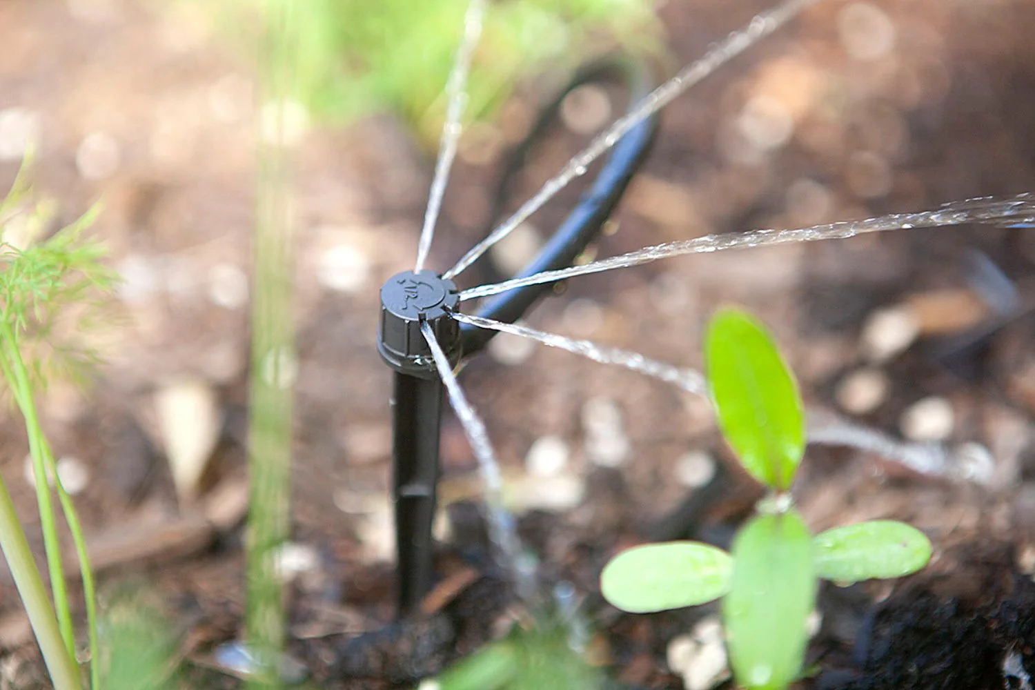 home garden watering solutions