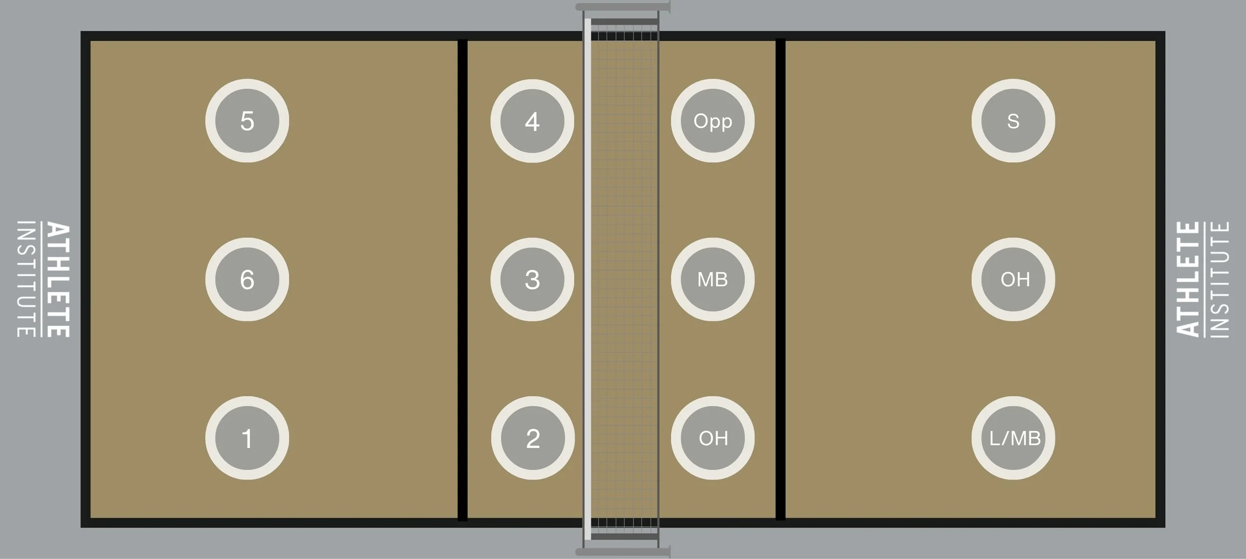 Volleyball Positions Explained: Roles, Rotations, and What Each Position Does