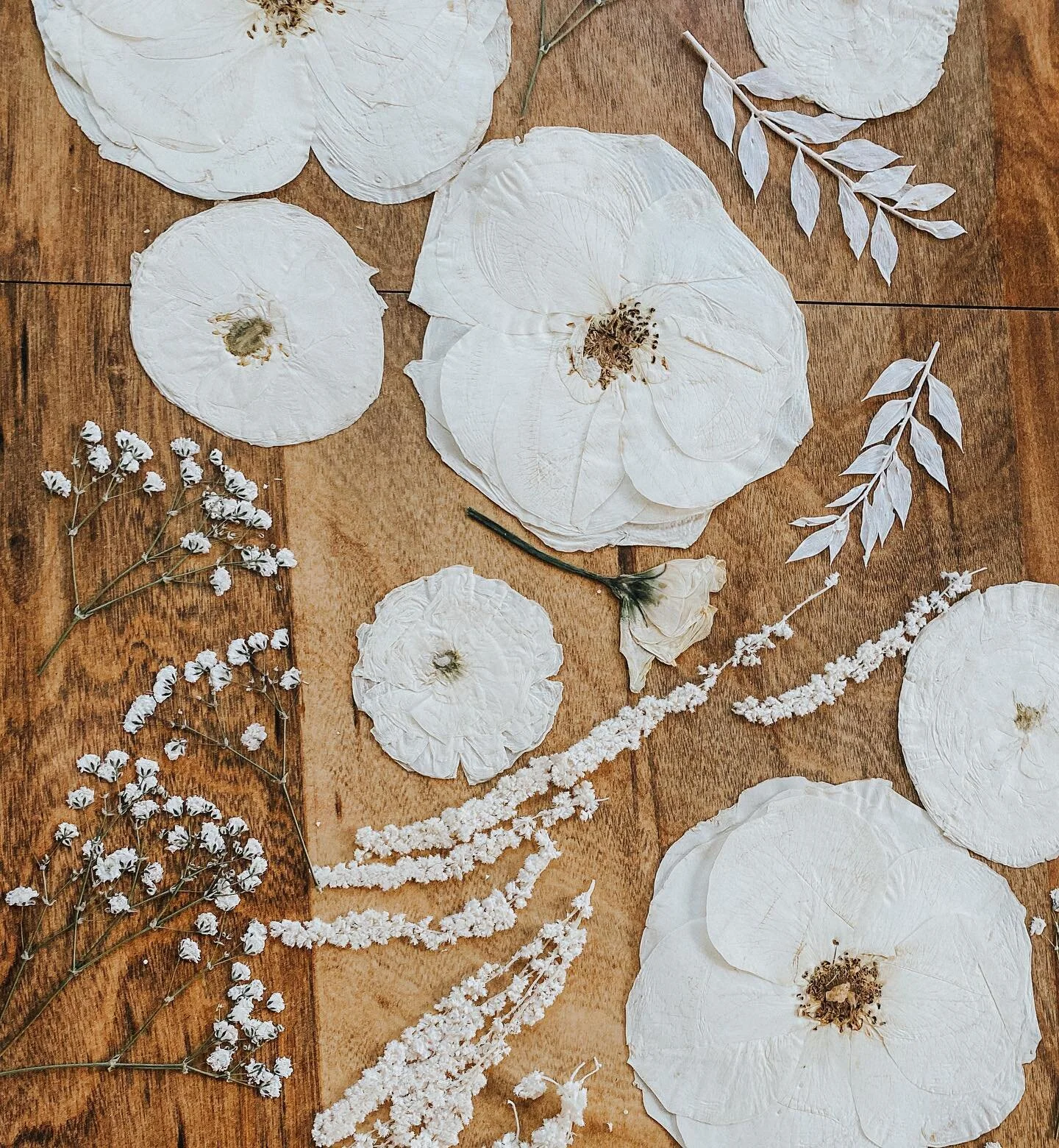 Besides seeing the finished product nothing beats getting to take the flowers out of the press. ✨ If you need to work on the quality of patience, try pressing flowers&hellip; definitely not me over here 🙃🤓
&bull;
&bull;
&bull;
#floralpreservation #