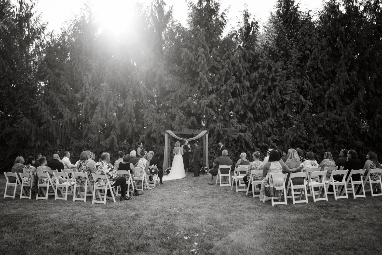 Black and white photo of backyard wedding ceremony with guests seated facing wooden arch framed by tall evergreen trees in Washington.