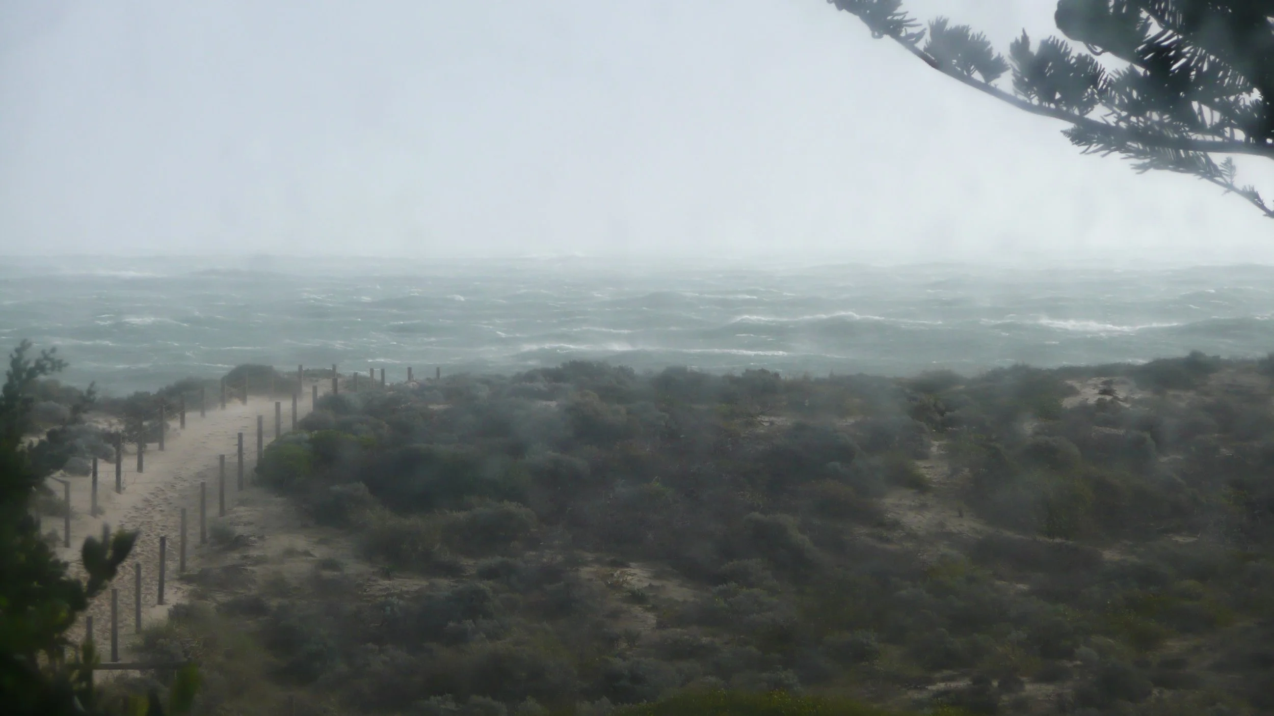Storm 2