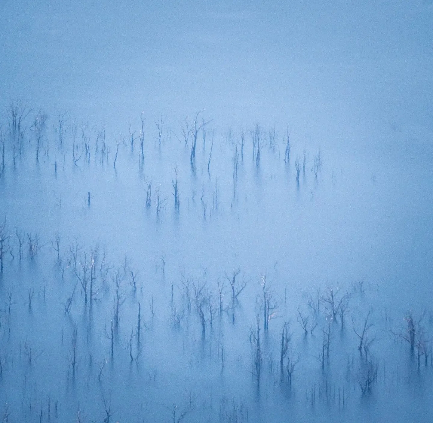 Drowned Trees. 

Looking down at the flooded remains of the Lake Pedder/Lake Gordon basin. 

This surreal landscape was created by the flooding of one of the largest inland lakes in Australia. 

#keeptassiewild #australiangeographic #tasmania #tasman