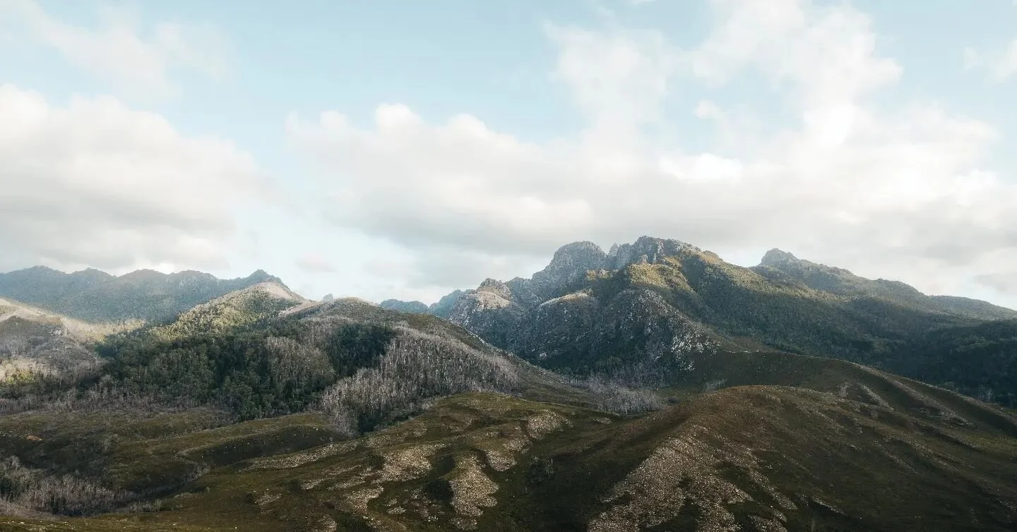 Looking towards the Dial and up into the Eastern Arthurs.

These amazing glacial carved, quartzite cliffs stand looking over the surround valleys of Button Grass.

#landscapephotography #landscape #wilderphotography #wilderness #innaturewetrust #tasm