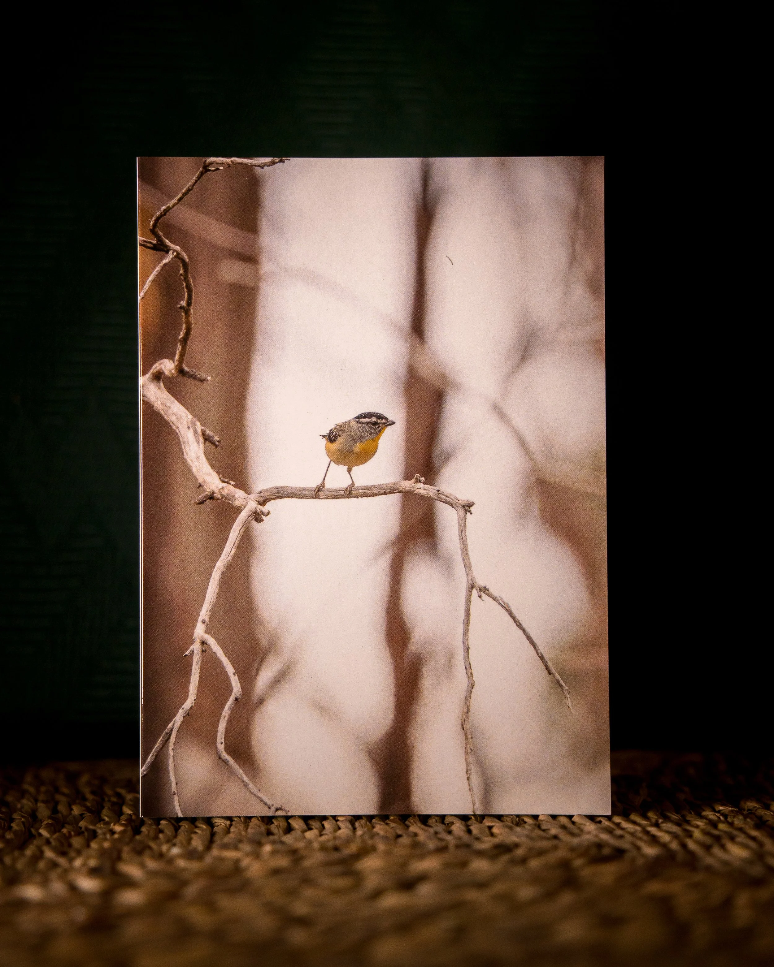 Spotted Pardalote Greeting Card