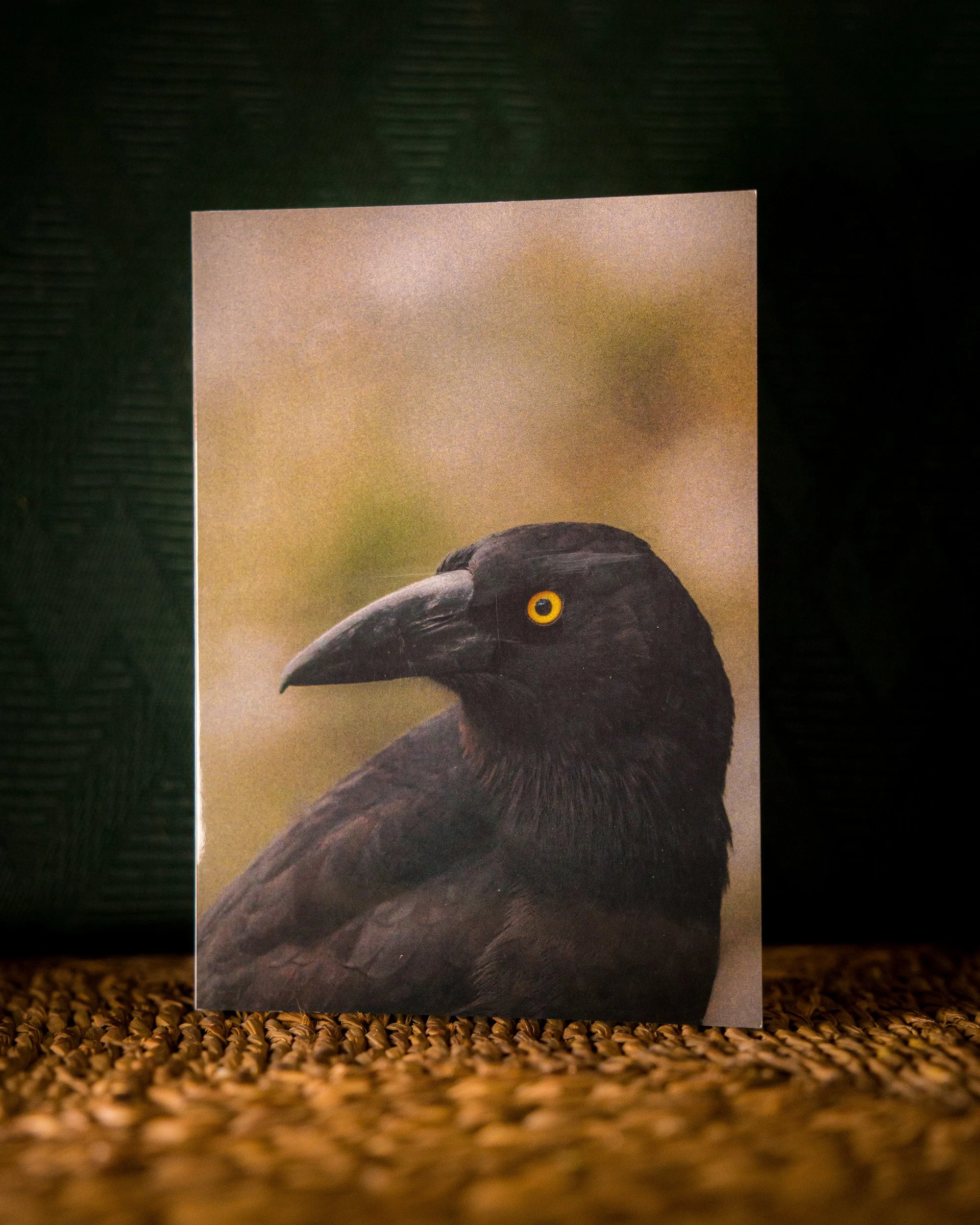 Black Currawong Greeting Card
