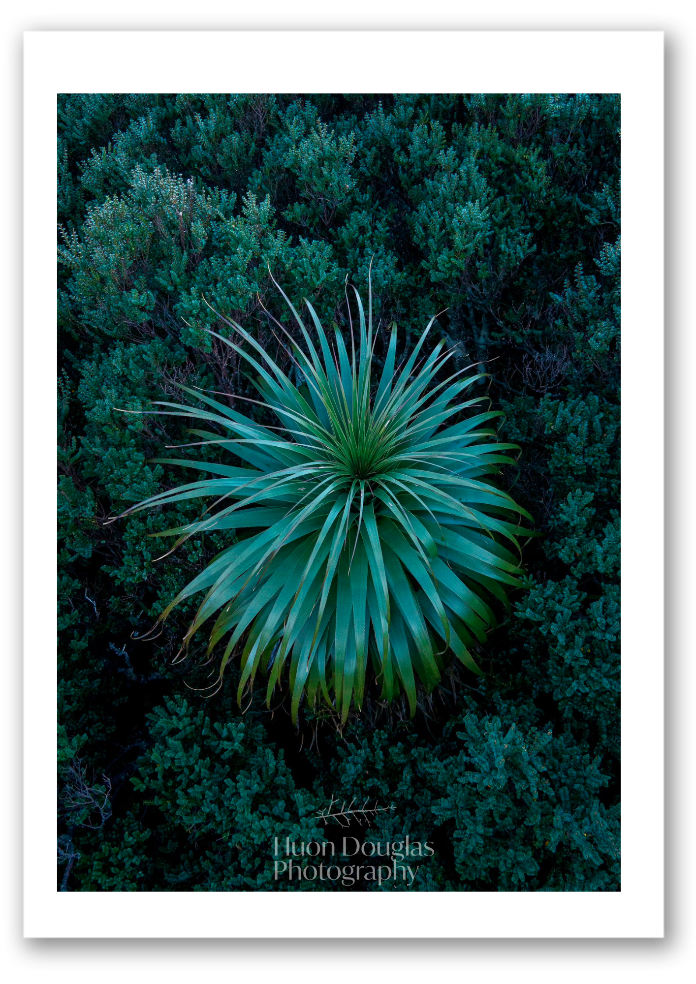 Enclosed Pandani A4.png