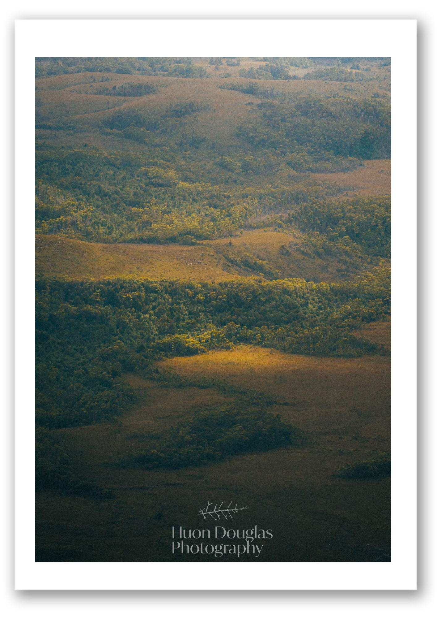 Light Focused Plains A4.png