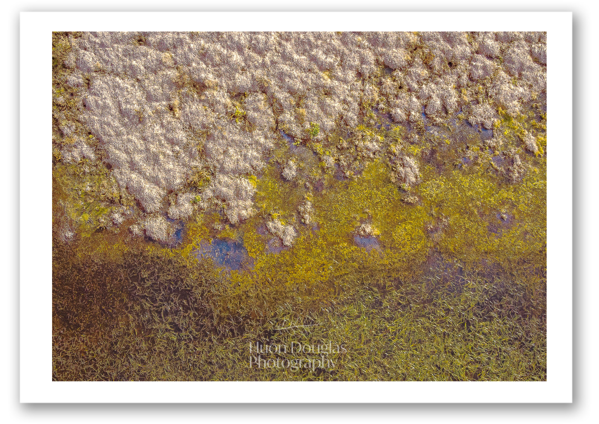 Swamp Boundary A4.png